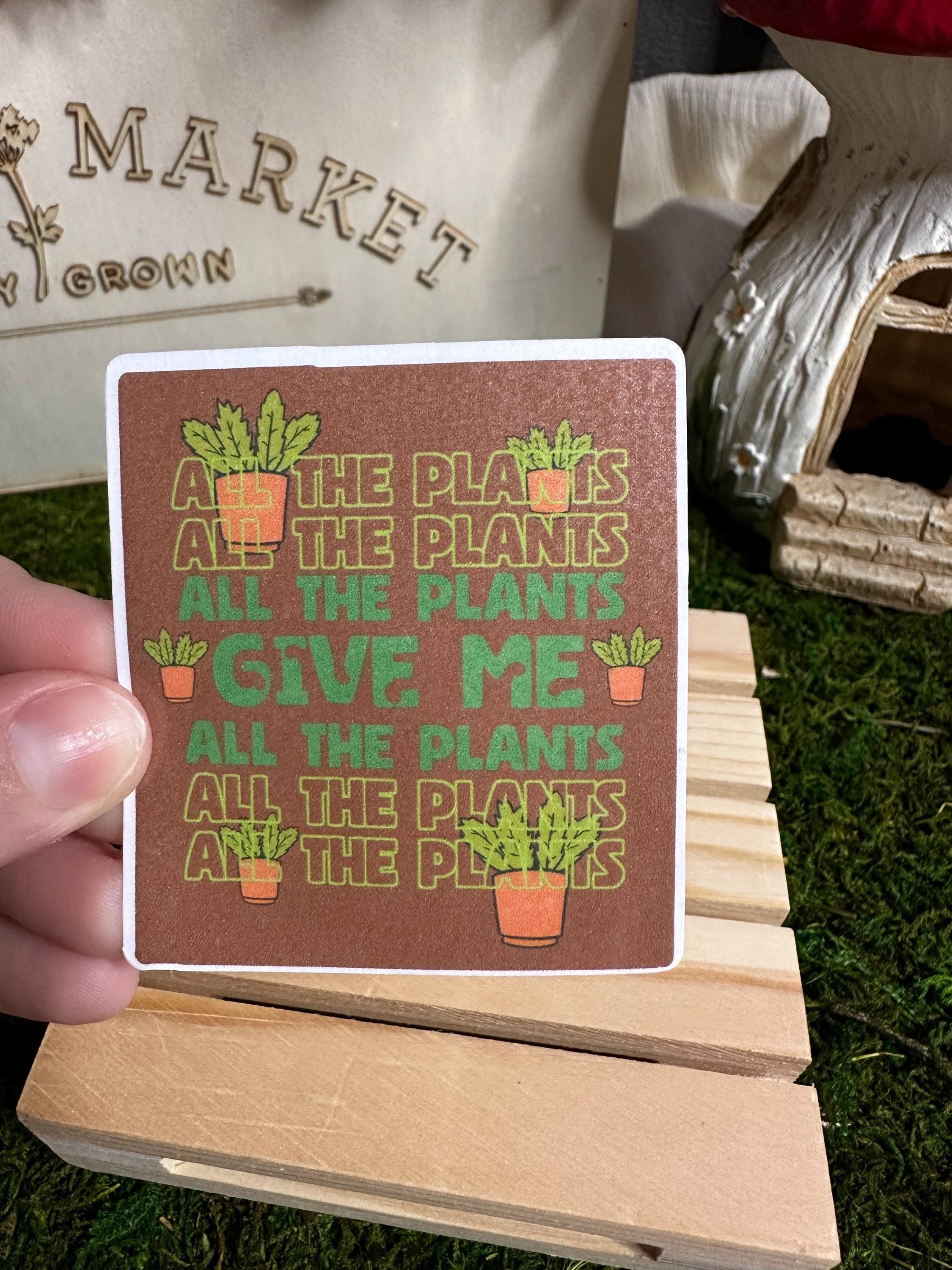 https://i.etsystatic.com/53823731/r/il/5f4bba/6797382879/il_fullxfull.6797382879_il7b.jpg