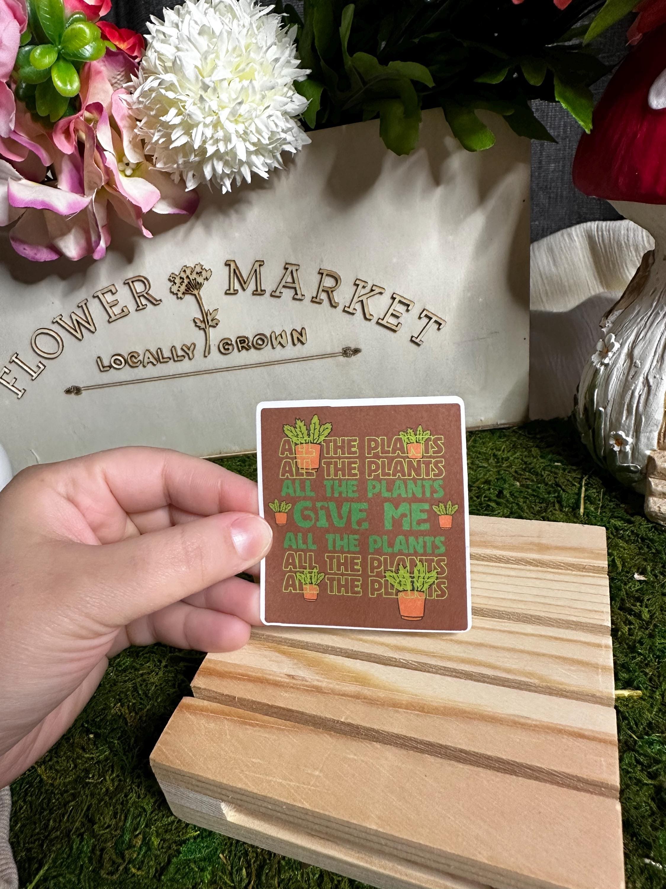 https://i.etsystatic.com/53823731/r/il/fd5fc0/6797382899/il_fullxfull.6797382899_pmaa.jpg