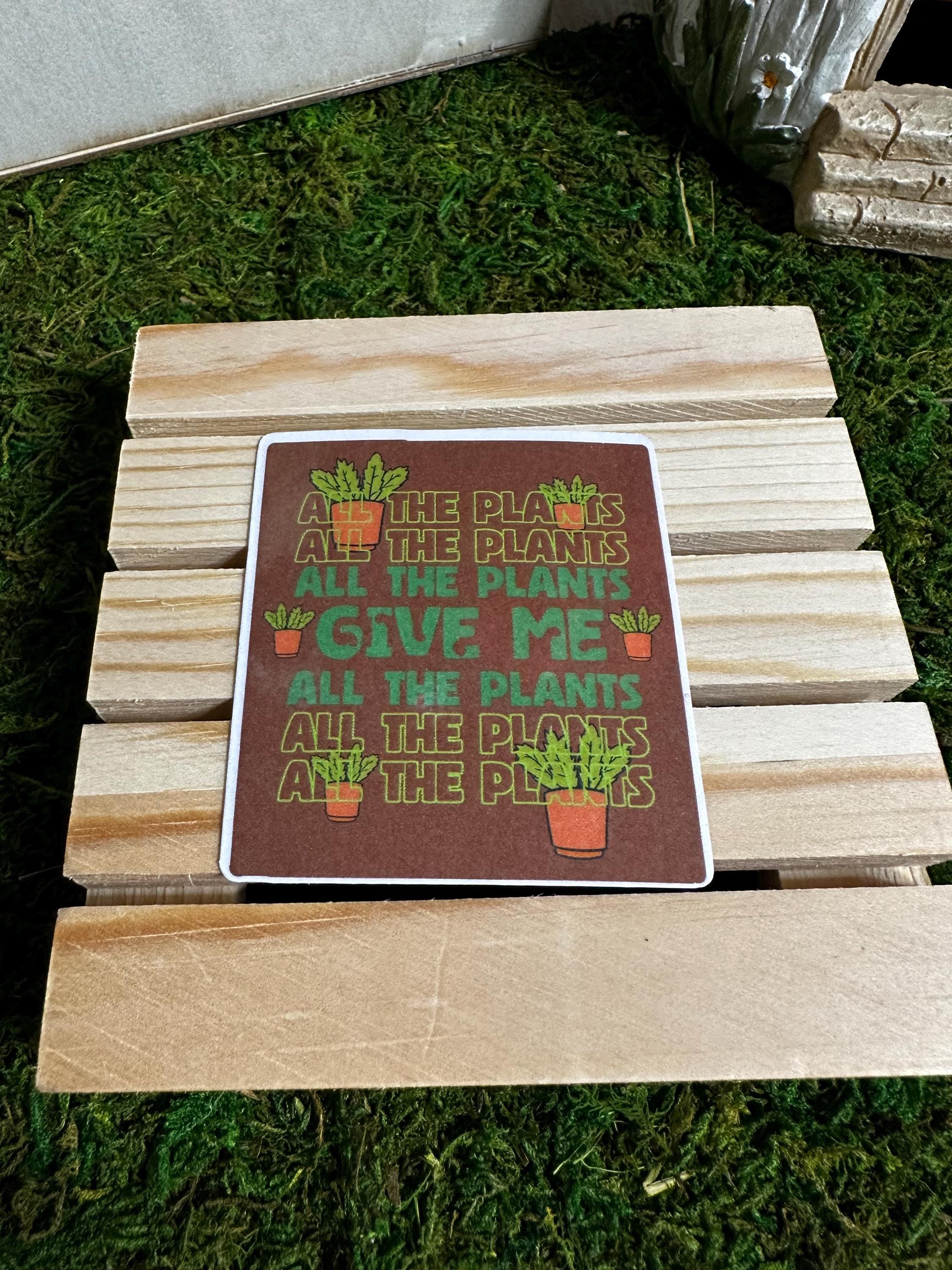 https://i.etsystatic.com/53823731/r/il/821db3/6797382903/il_fullxfull.6797382903_og8t.jpg