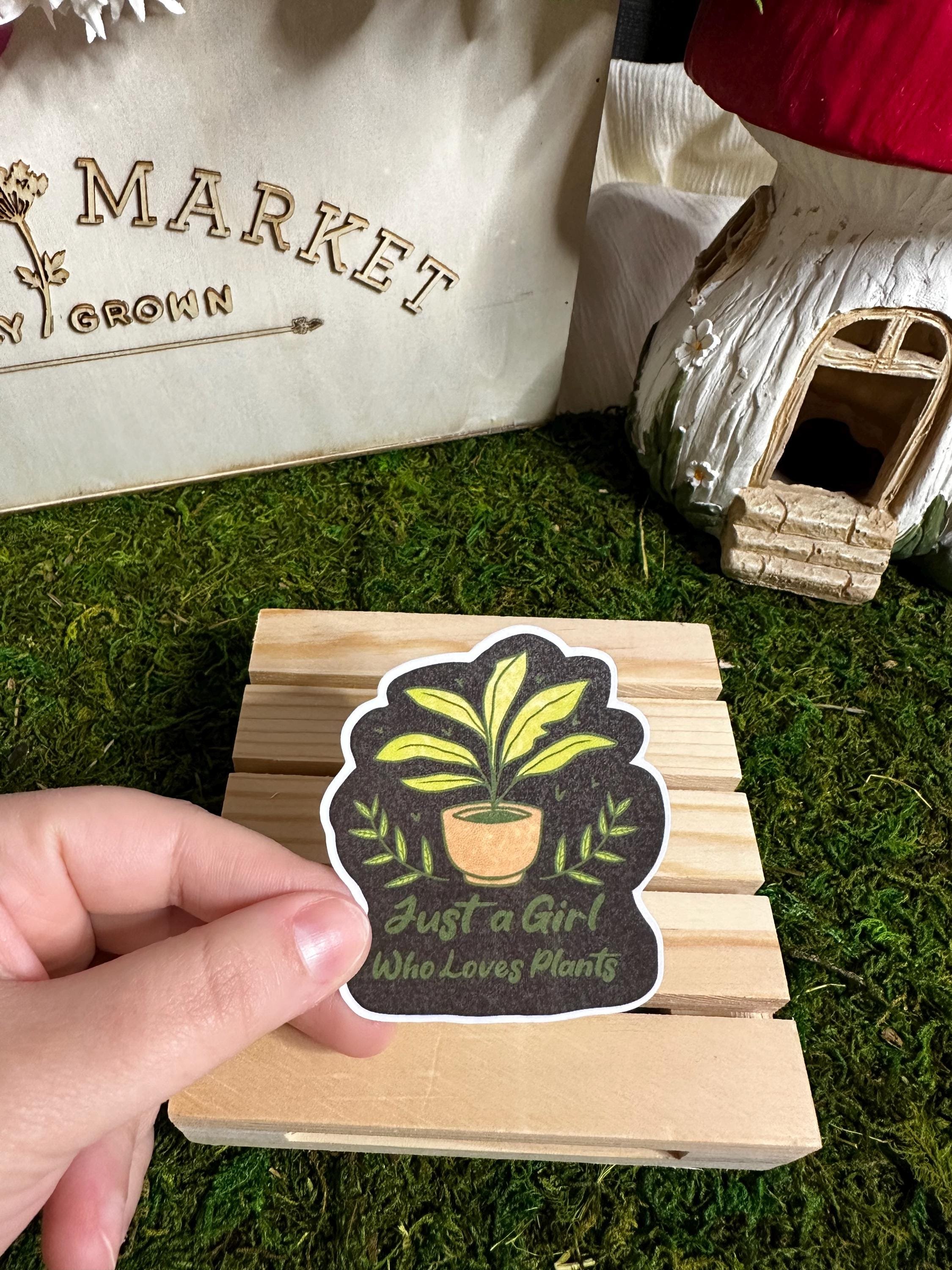 https://i.etsystatic.com/53823731/r/il/22fcf4/6749354736/il_fullxfull.6749354736_7fox.jpg