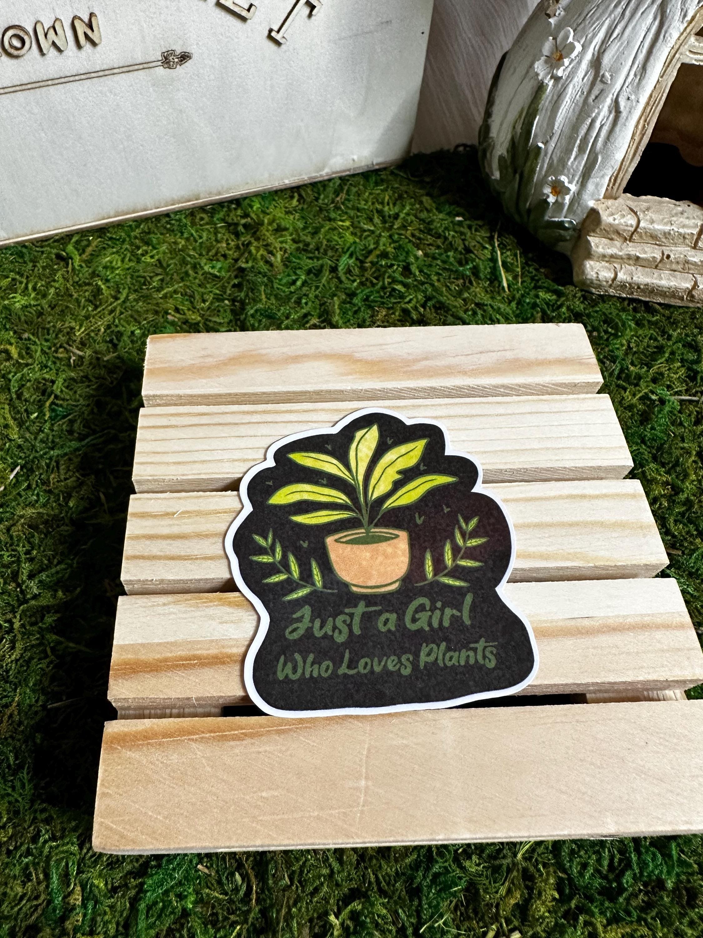 https://i.etsystatic.com/53823731/r/il/0b7967/6797376743/il_fullxfull.6797376743_gs7n.jpg