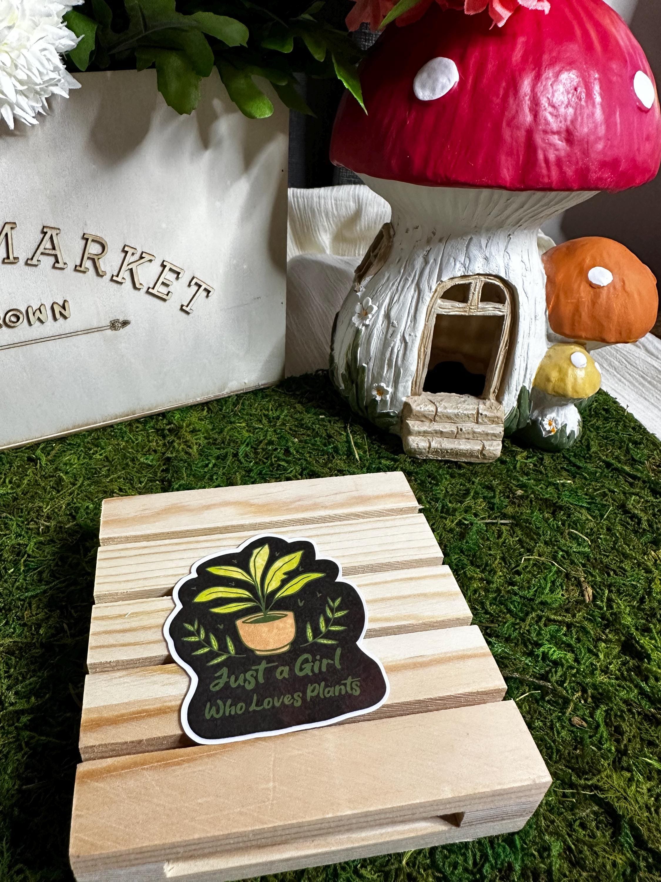 https://i.etsystatic.com/53823731/r/il/7414fb/6749354770/il_fullxfull.6749354770_ml16.jpg