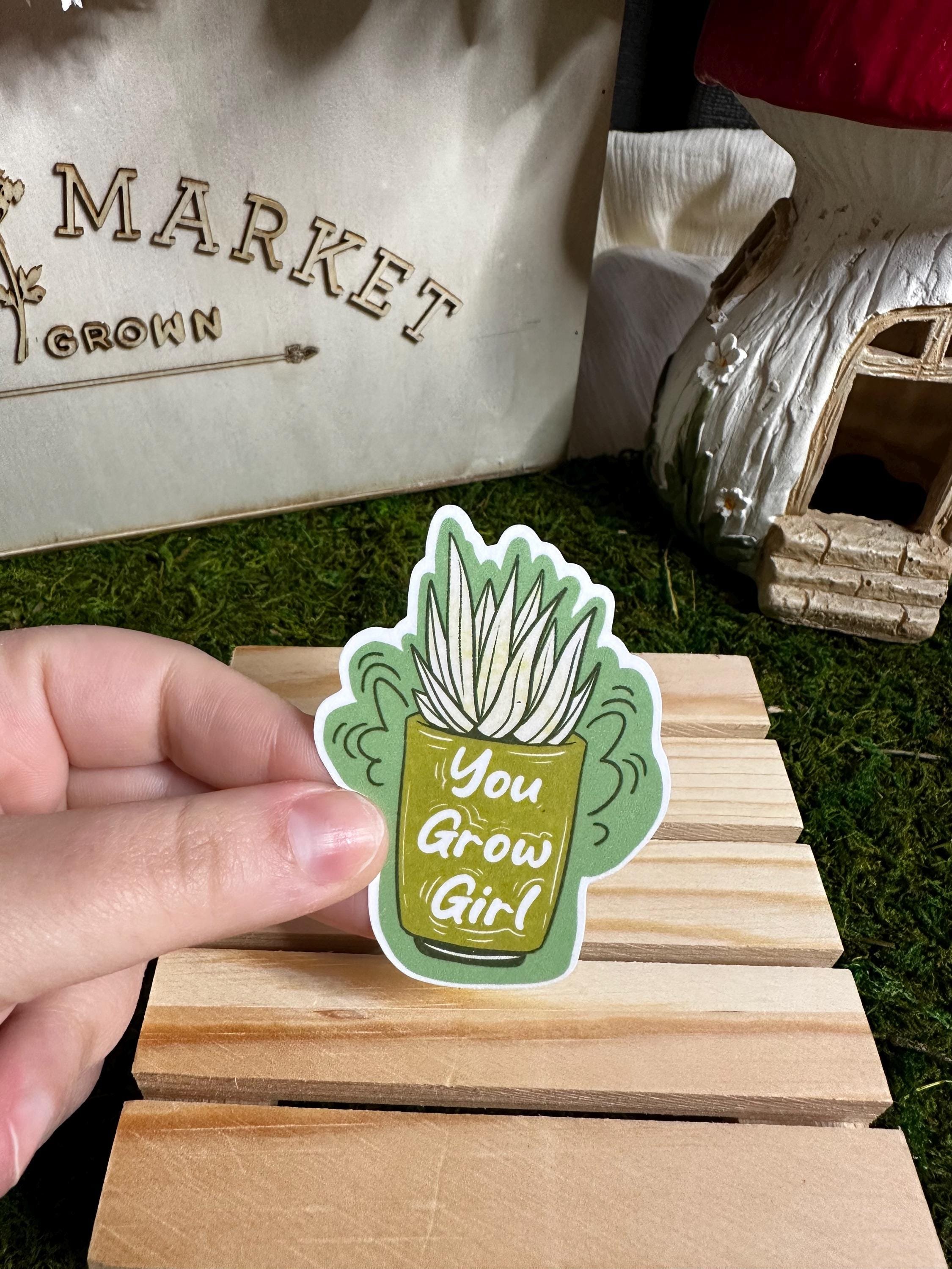https://i.etsystatic.com/53823731/r/il/40ce96/6746943622/il_fullxfull.6746943622_dskk.jpg