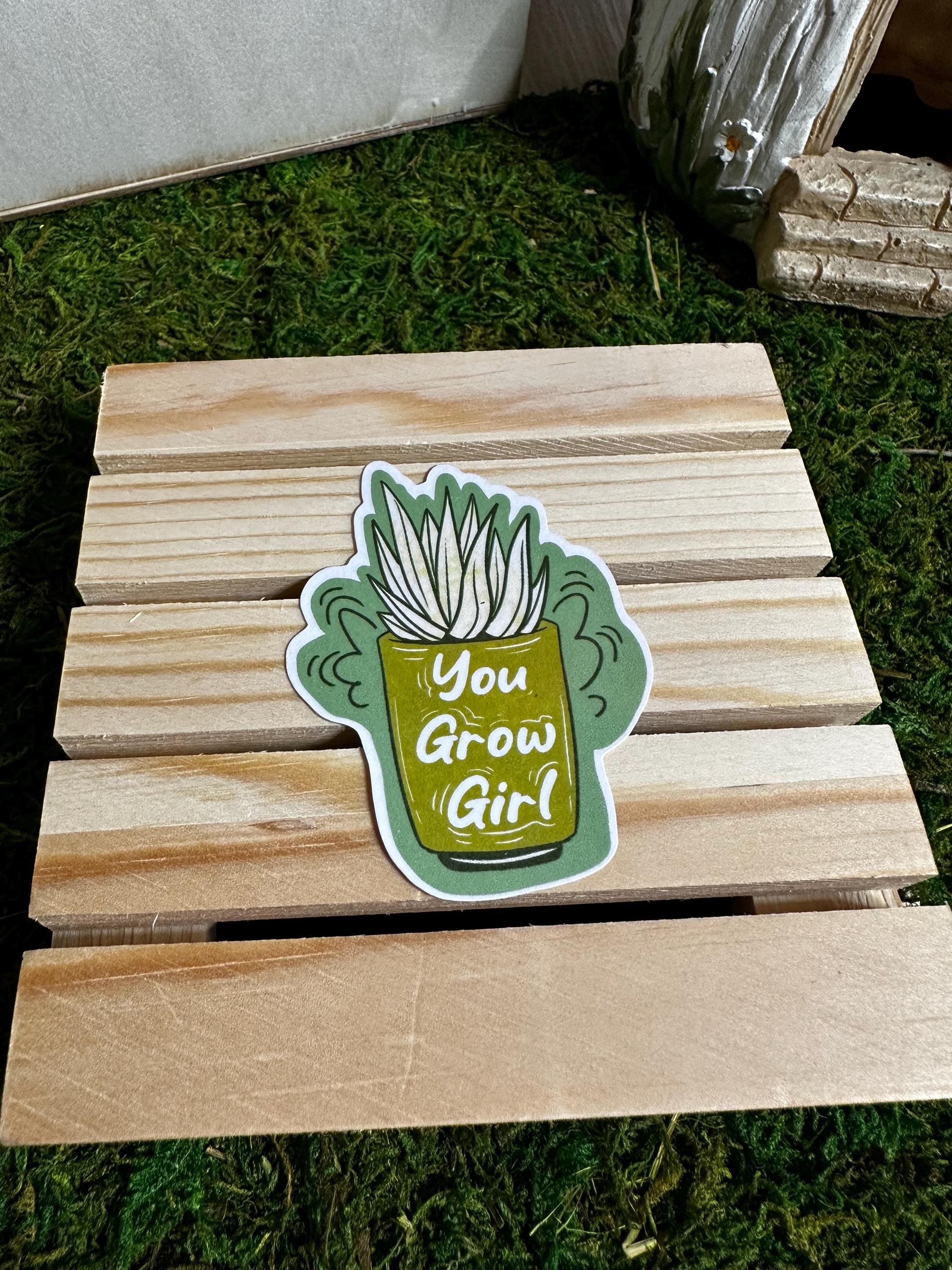 https://i.etsystatic.com/53823731/r/il/7eeb14/6746943640/il_fullxfull.6746943640_6ekd.jpg