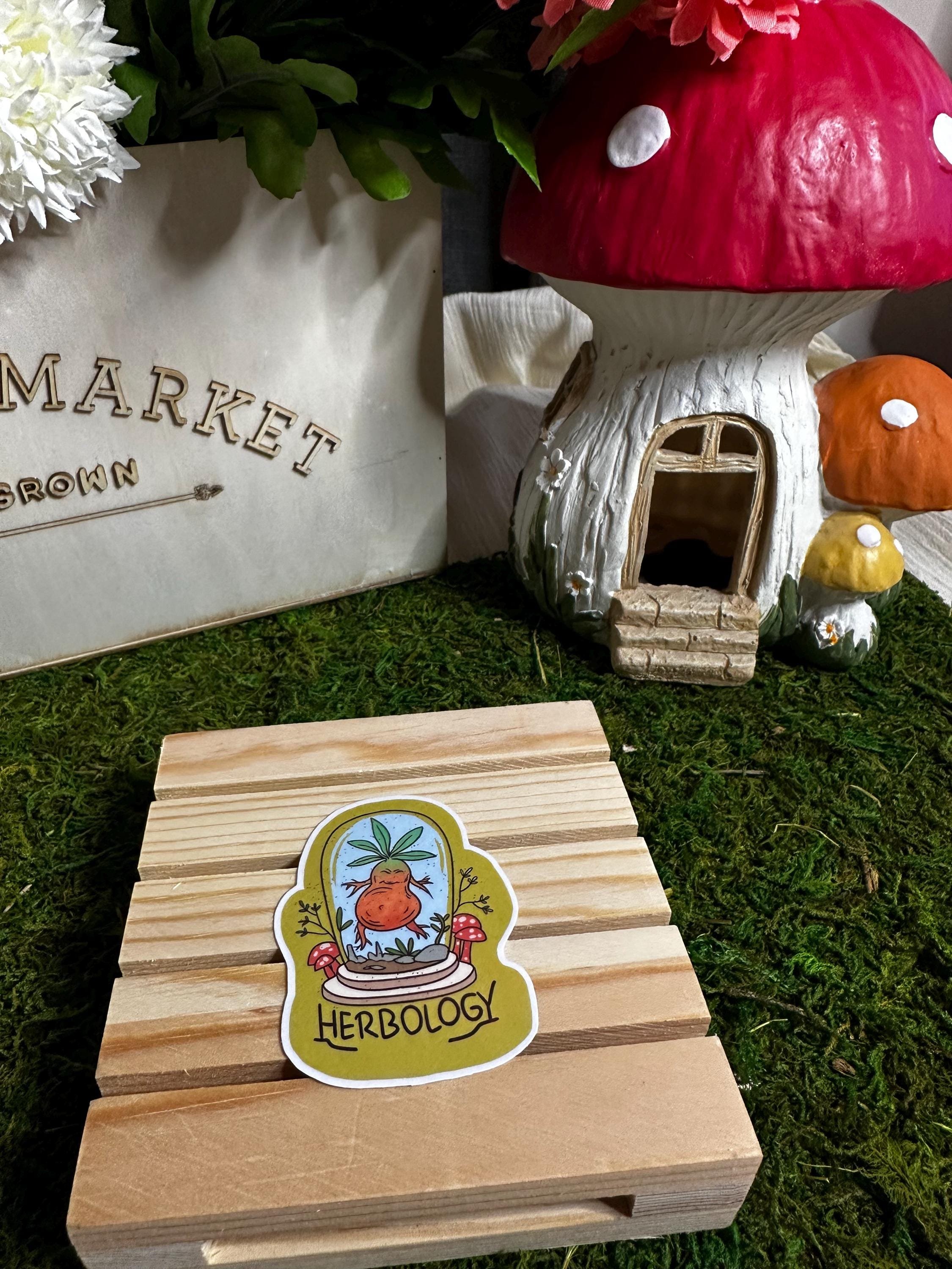 https://i.etsystatic.com/53823731/r/il/cdb684/6749357300/il_fullxfull.6749357300_ahyn.jpg