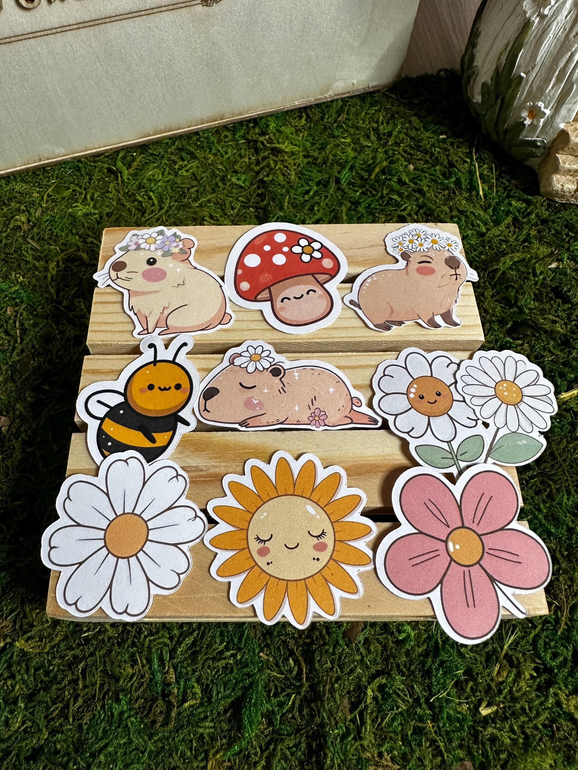 https://i.etsystatic.com/53823731/r/il/a94b0e/6746892294/il_fullxfull.6746892294_nri4.jpg