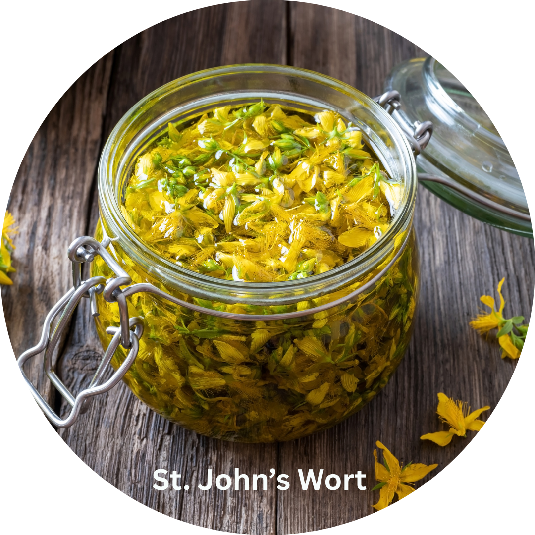 comfrey leaf (1).png