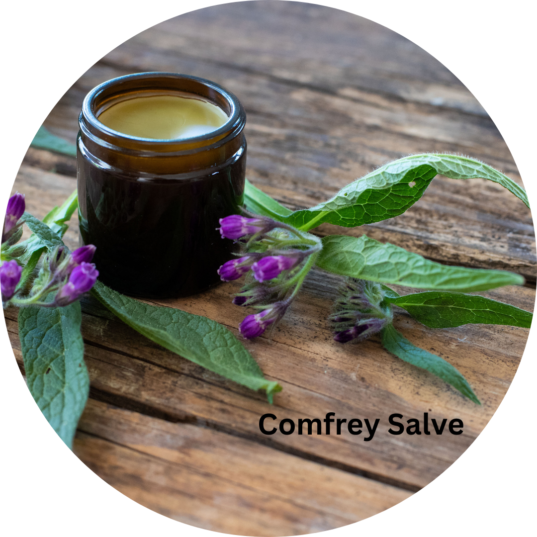Comfrey Salve, 1 oz