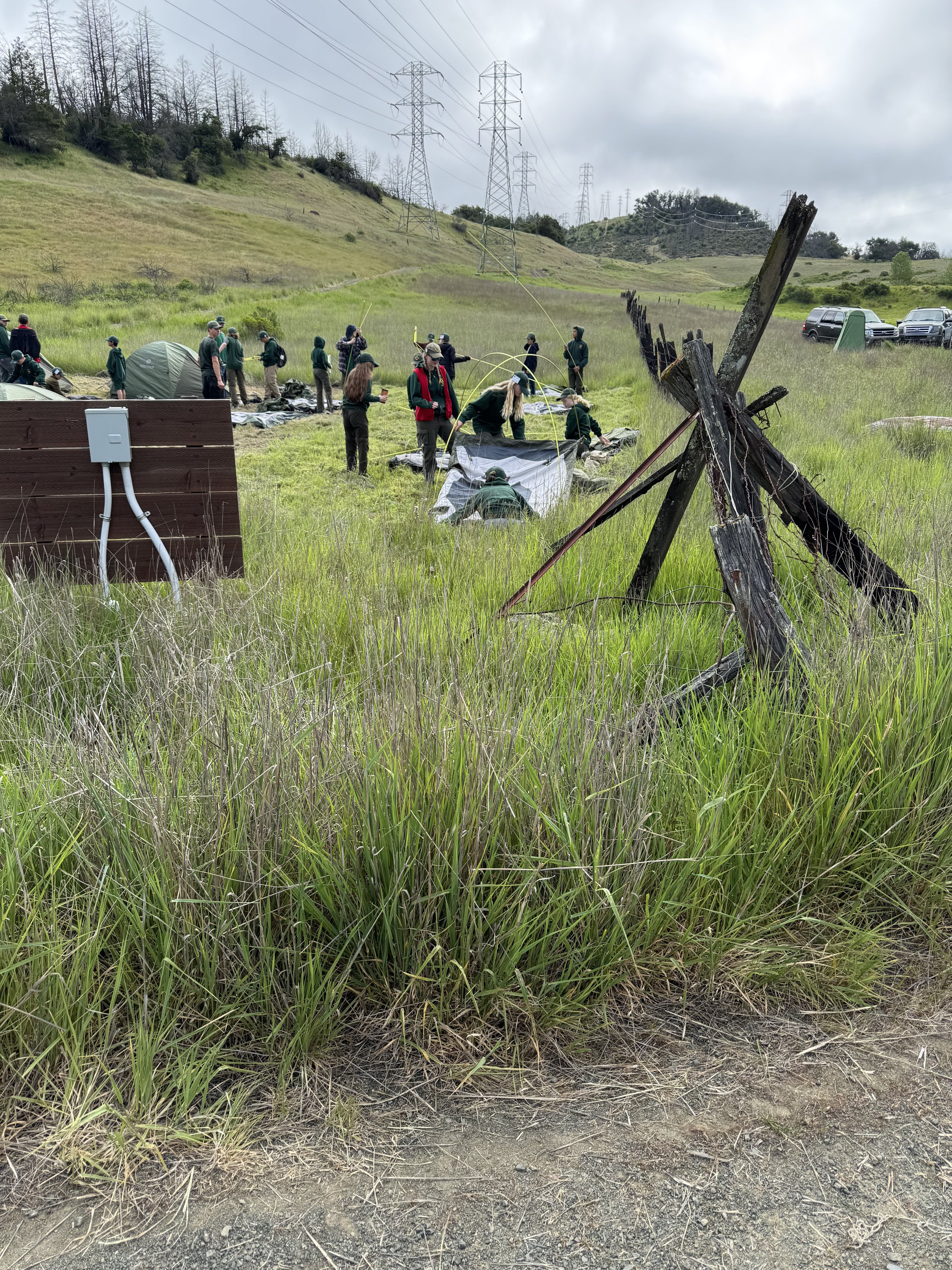 Scouts setting up their tents Saturday morning