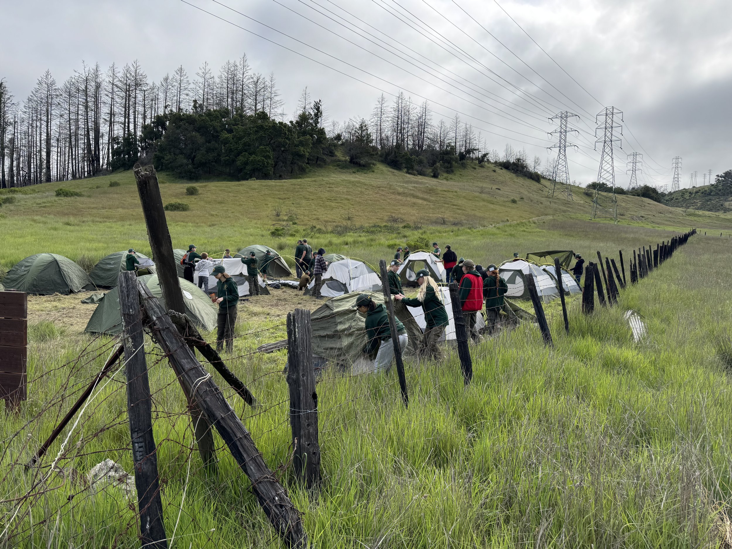Scouts working together to put their tents together.