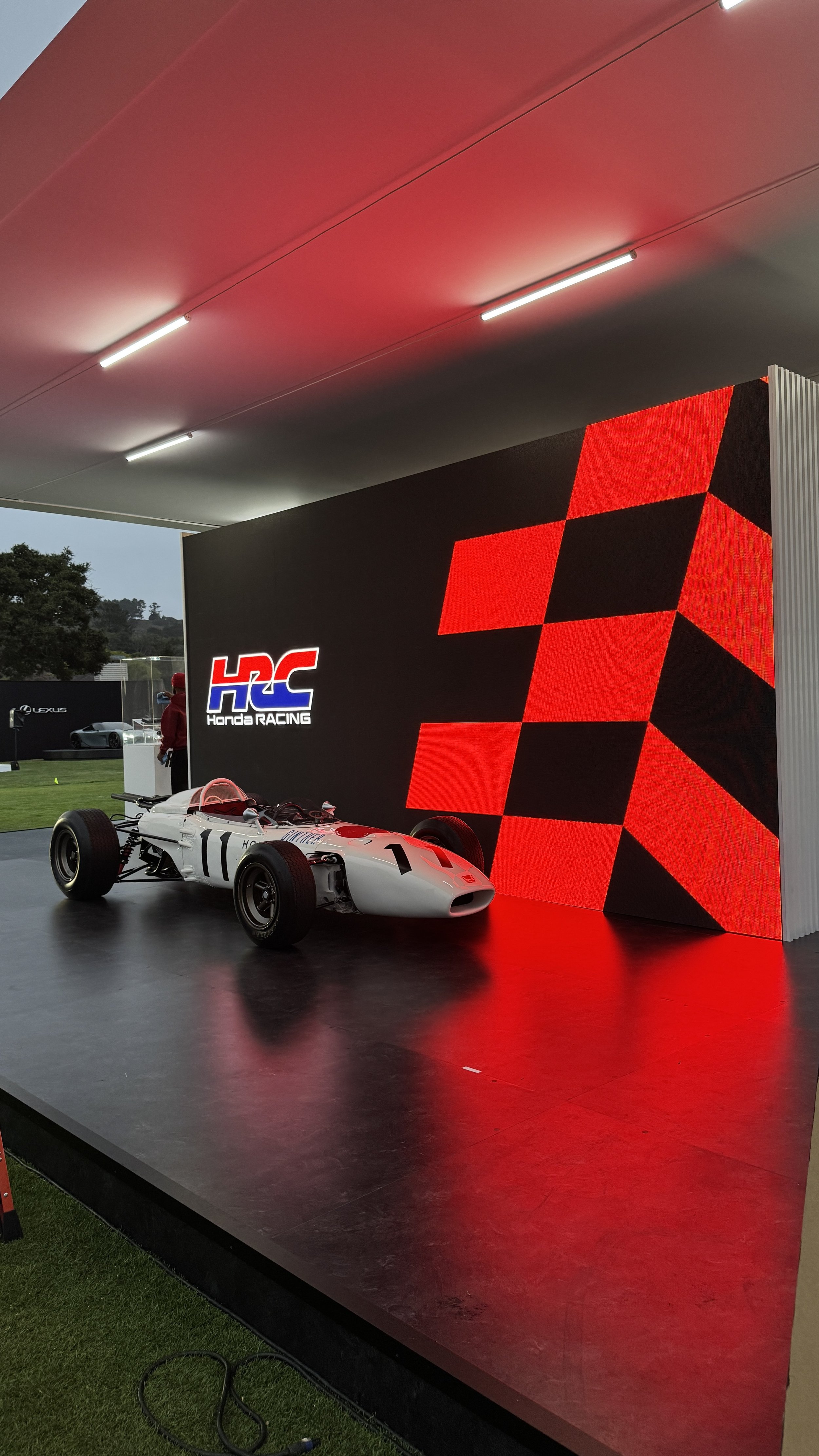 HRC QUAIL 2025 3.jpeg