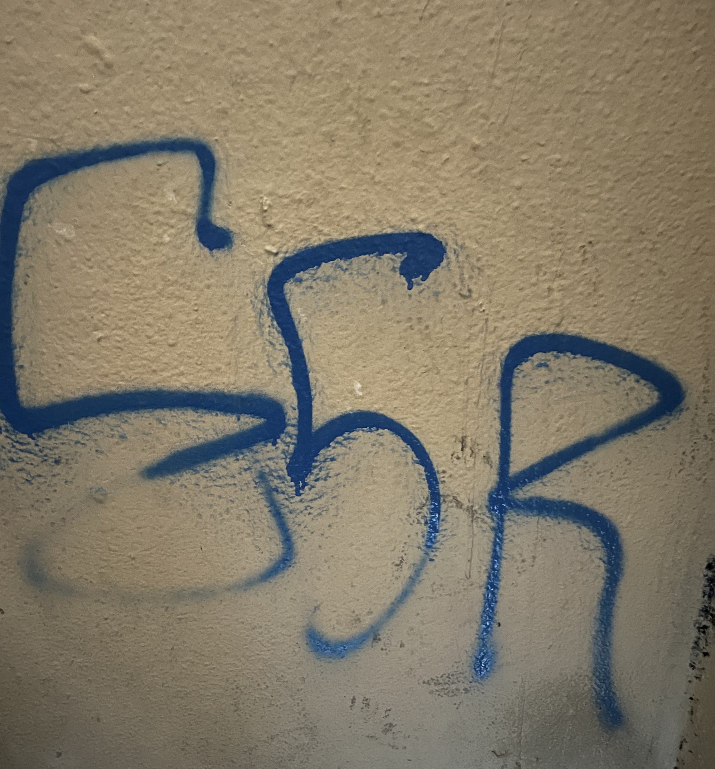 ESR.jpg