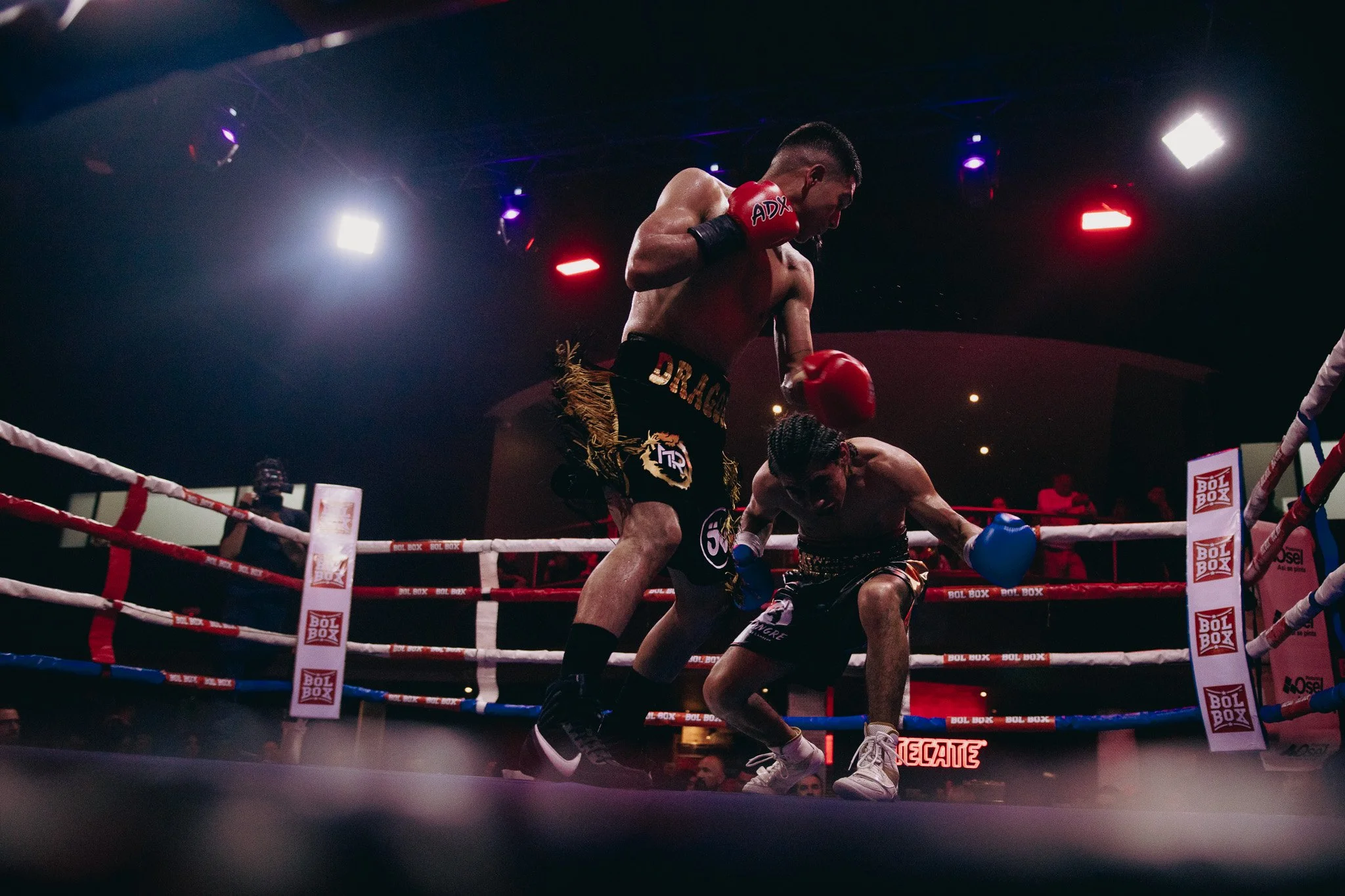 Dos boxeadores en un combate en un ring de boxeo, uno de pie y otro agachado, en un ambiente con luces brillantes y presencia de espectadores.