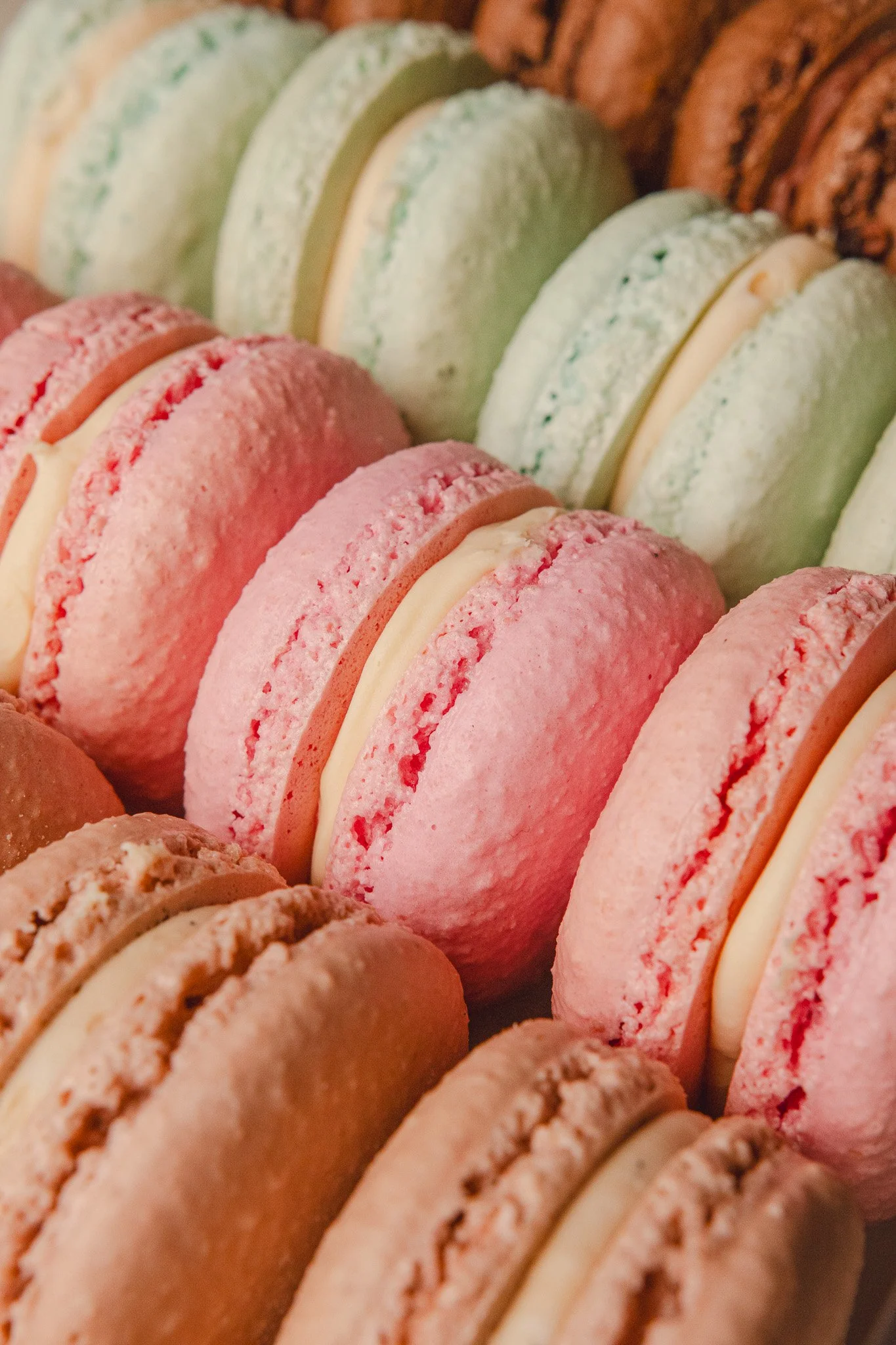 Varios macarons de diferentes colores formando una fila.