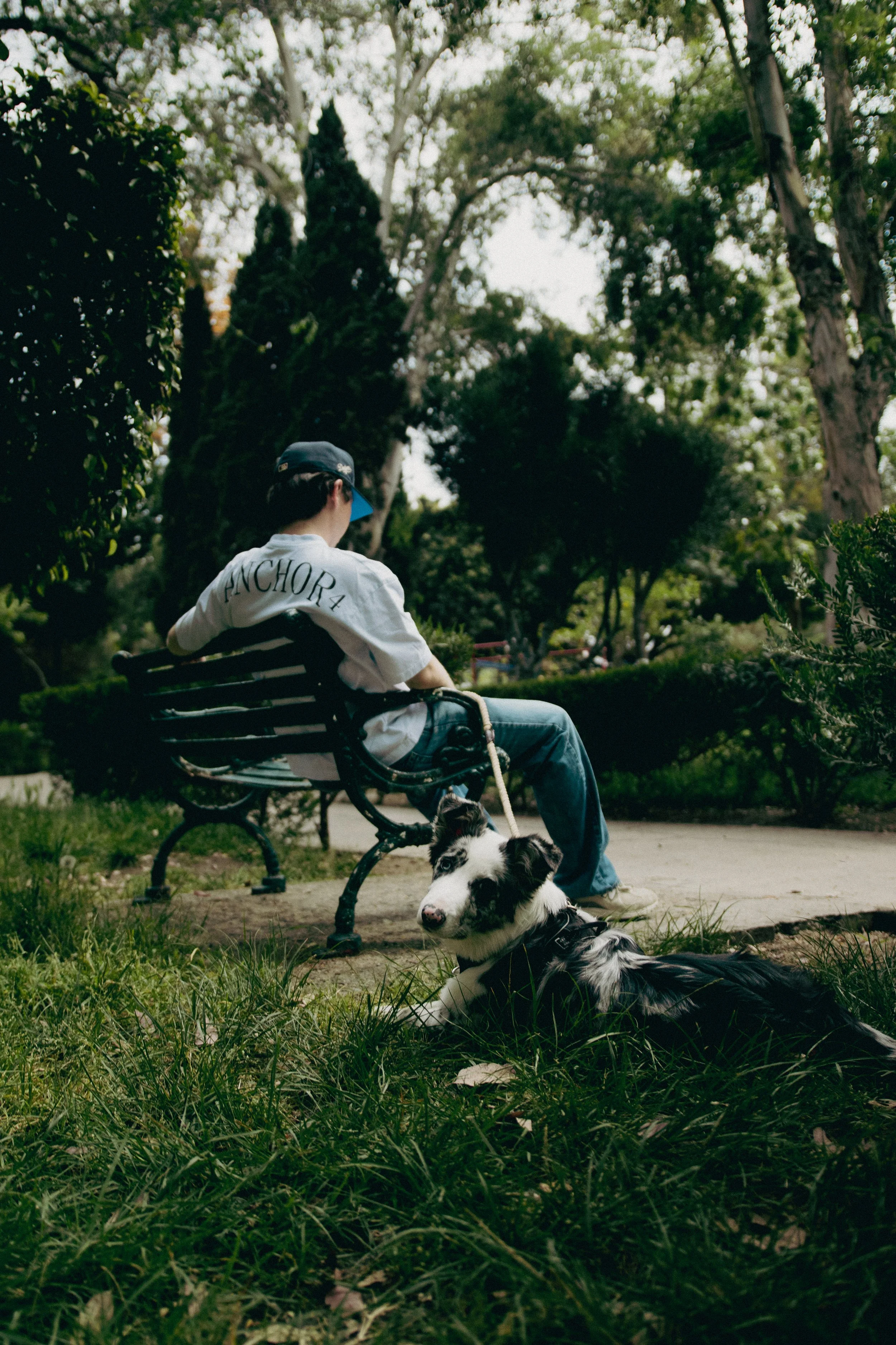 Persona sentada en un banco en un parque, acompañada de un perro border collie acostado en la hierba. La persona lleva una gorra azul y una camiseta con la palabra 'ANCHOR' en la espalda, rodeados de árboles y vegetación.