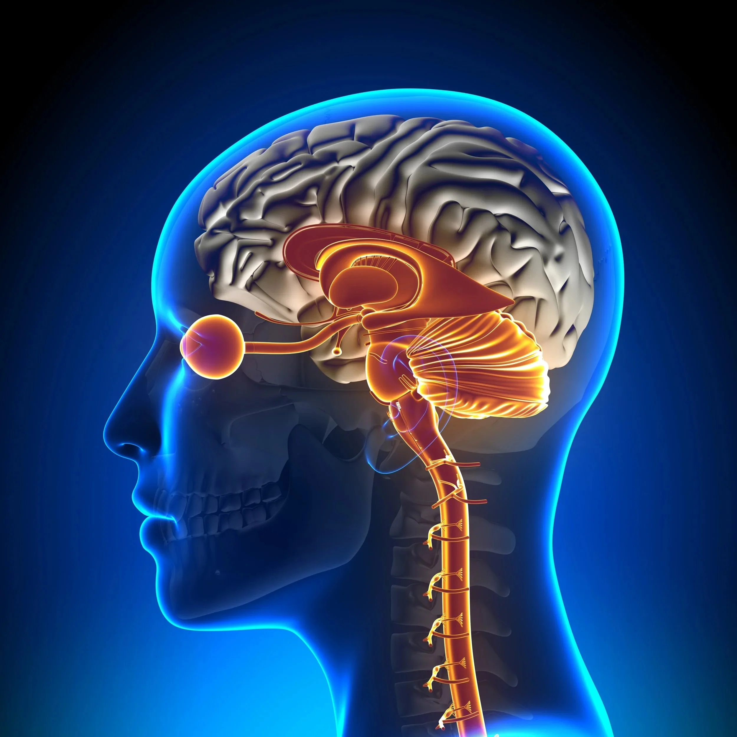 Brainspotting therapy for trauma anxiety and nervous system healing
