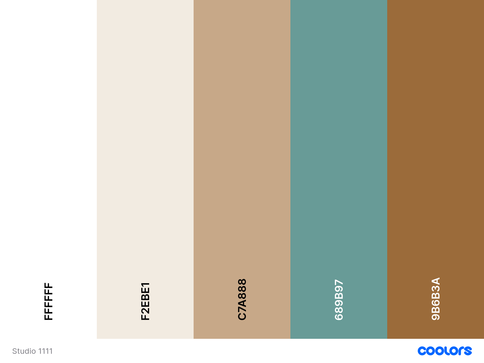 Color palette with six color swatches labeled with hex color codes, from left to right: #FFFFFF, #F2E8E1, #C7A888, #6899B7, #9B6B3A