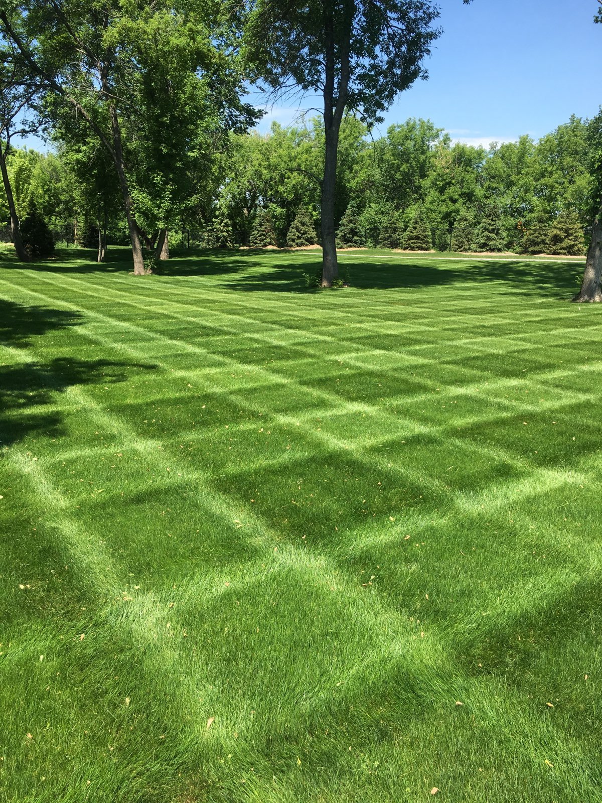 Well-maintained grassy lawn with striped pattern, surrounded by trees under a clear blue sky. Weekly Maintenance, Lawn Mowing, Weed Control, Irrigation System.