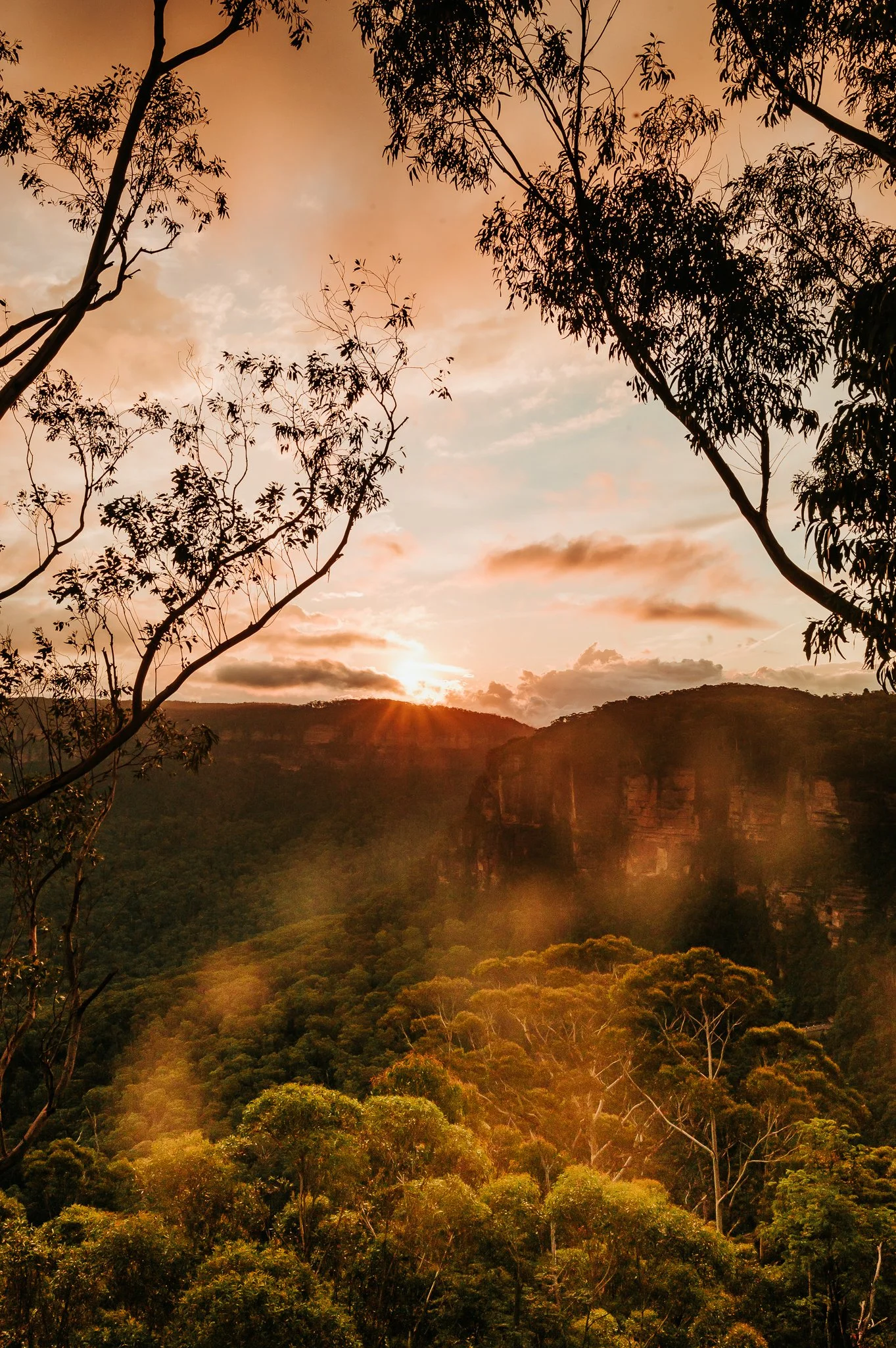 @jcrispinphoto-1-11 2.JPG