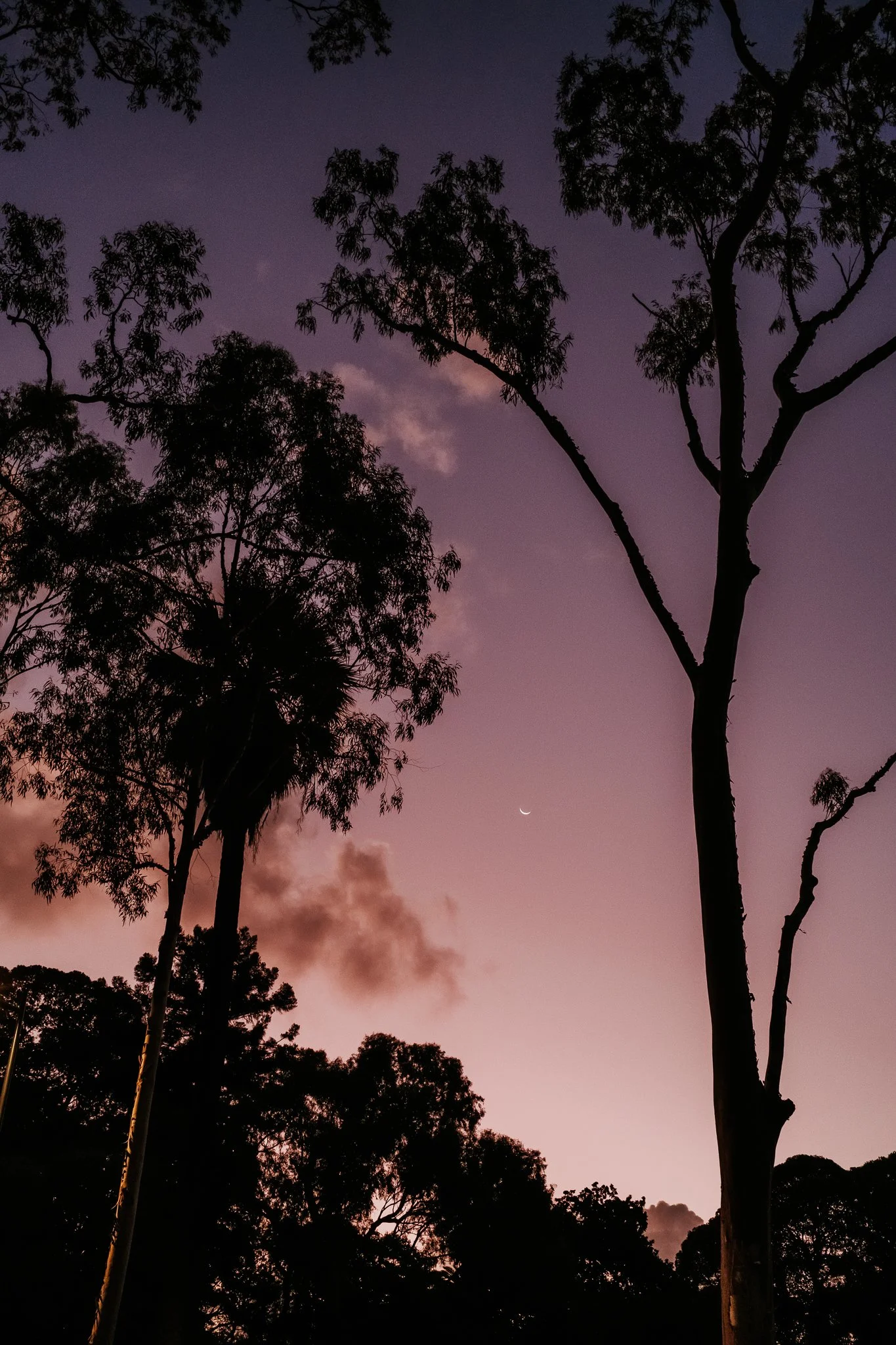 @jcrispinphoto-2 2.JPG