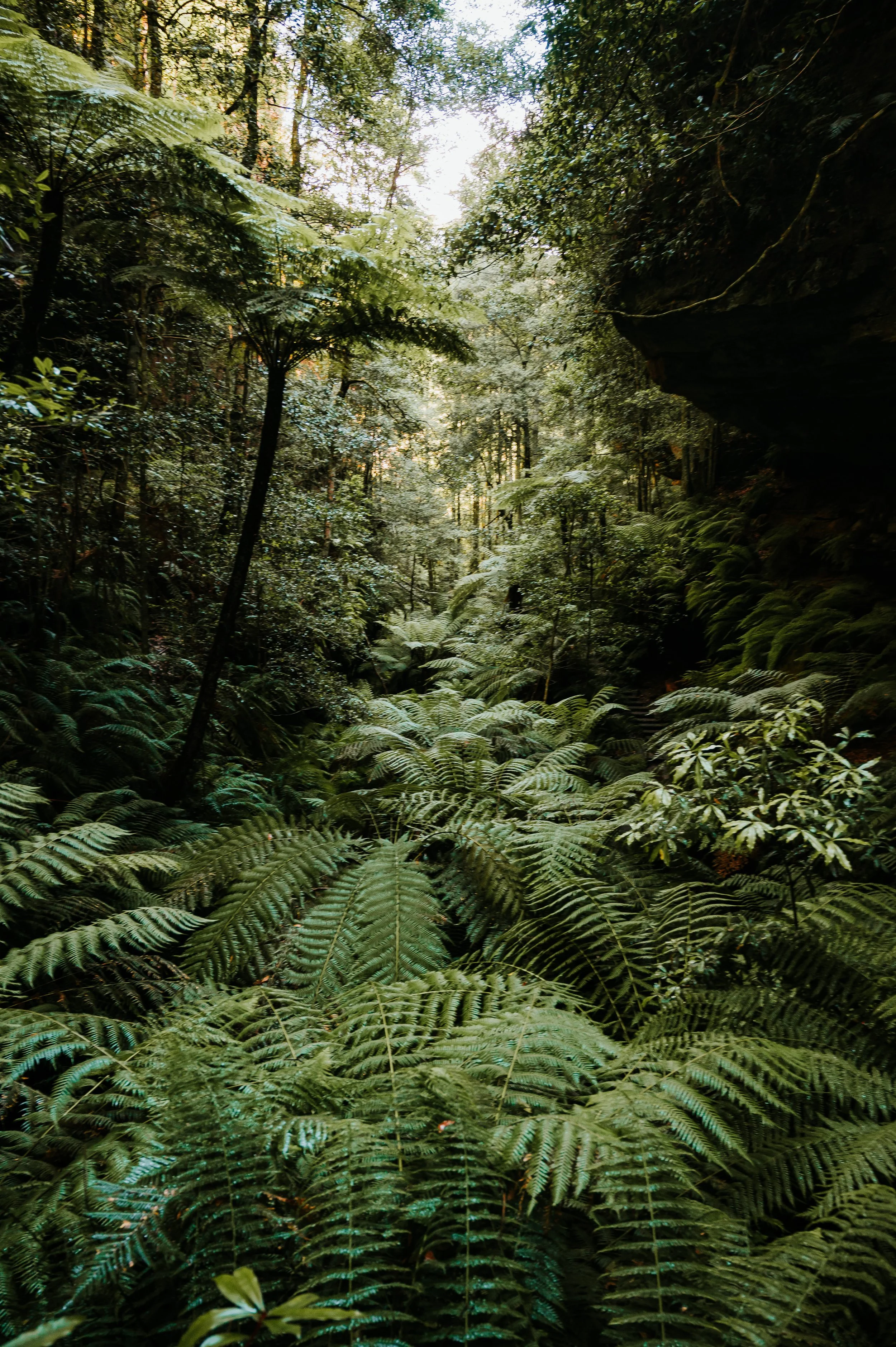 @jcrispinphoto-1 copy.JPEG