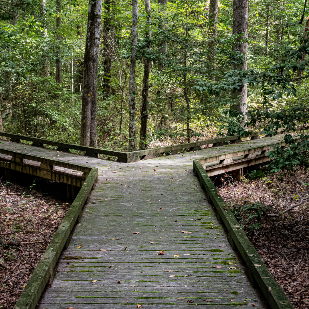 Everything In Life Is A Struggle