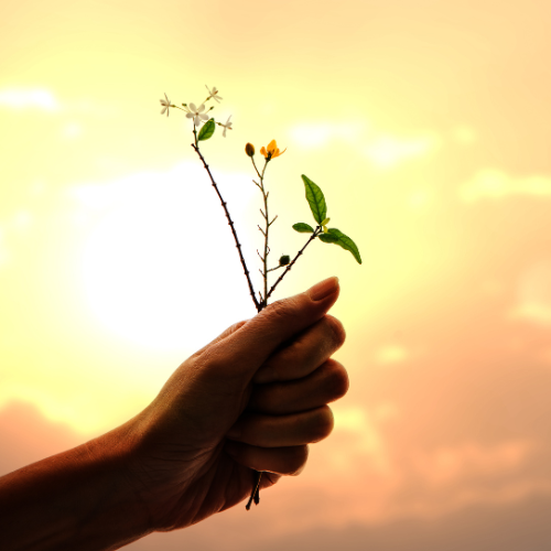 Cultivating Gratitude: Harvesting Happiness & Inner Peace Workshop 06/15/2026 6:00-7:30 PM CST @ Virtual