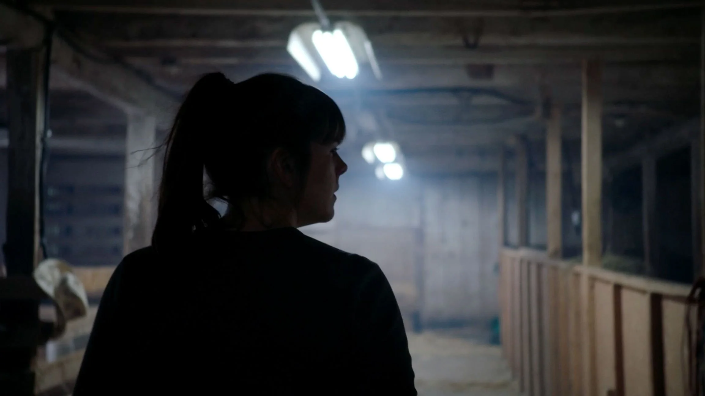 A silhouette of a woman with a ponytail standing in a dimly lit barn, looking to the side, with fluorescent lights overhead and wooden stalls lining the walls.