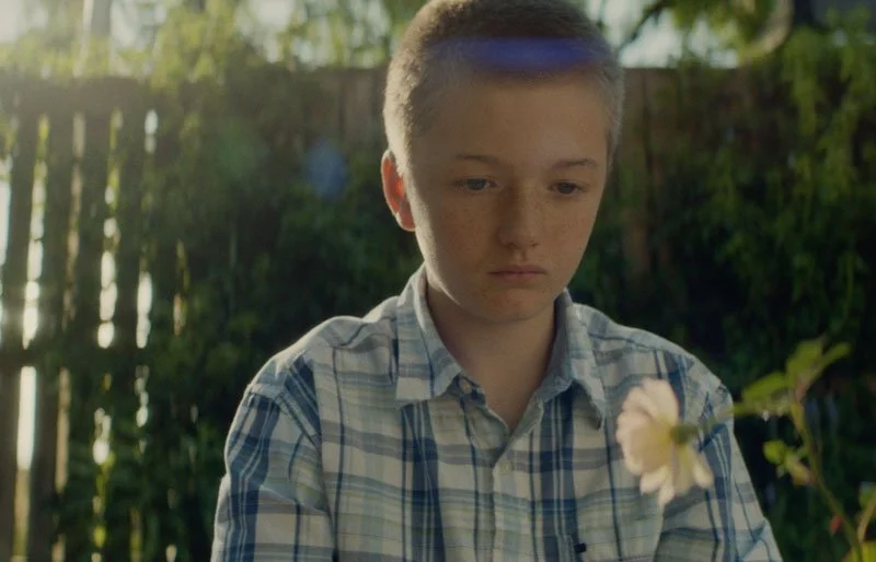 A young boy with short light brown hair and wearing a blue and white plaid shirt, looking down at a flower in his hand in a backyard with a wooden fence and green trees in the background.