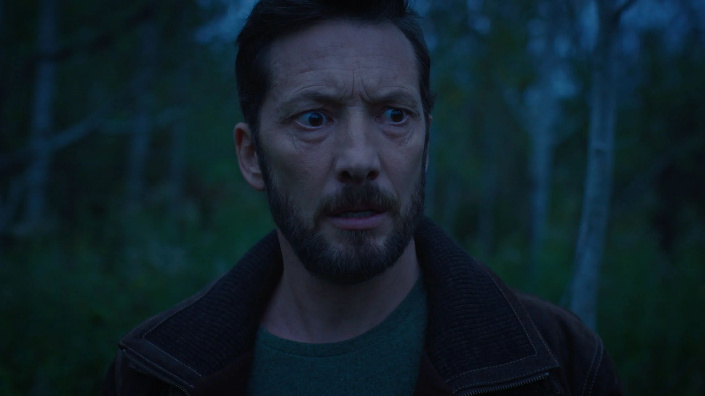 A man with a beard and dark hair looks surprised or worried in a forest at dusk or dawn.