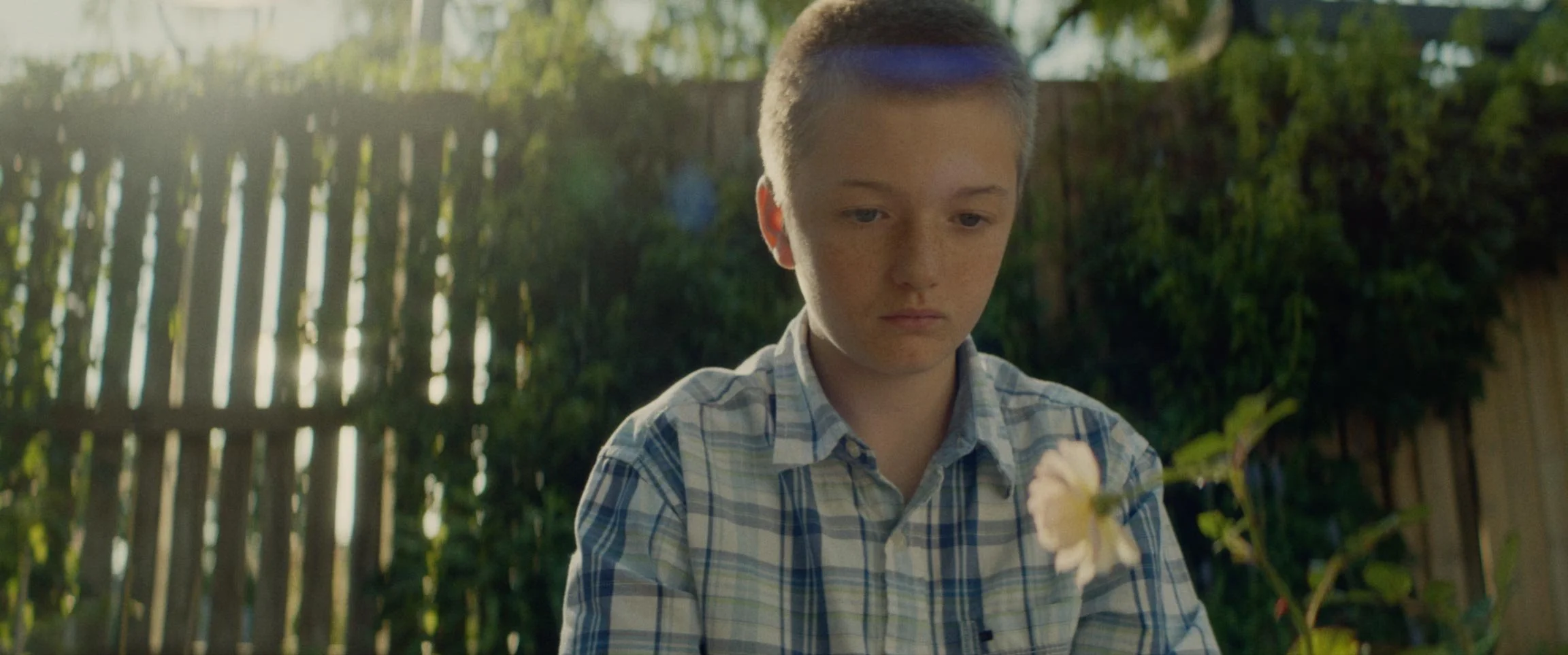 A young boy with short brown hair and freckles, wearing a plaid shirt, looks thoughtfully at a white daisy flower in his hand outdoors, with a wooden fence and greenery in the background.