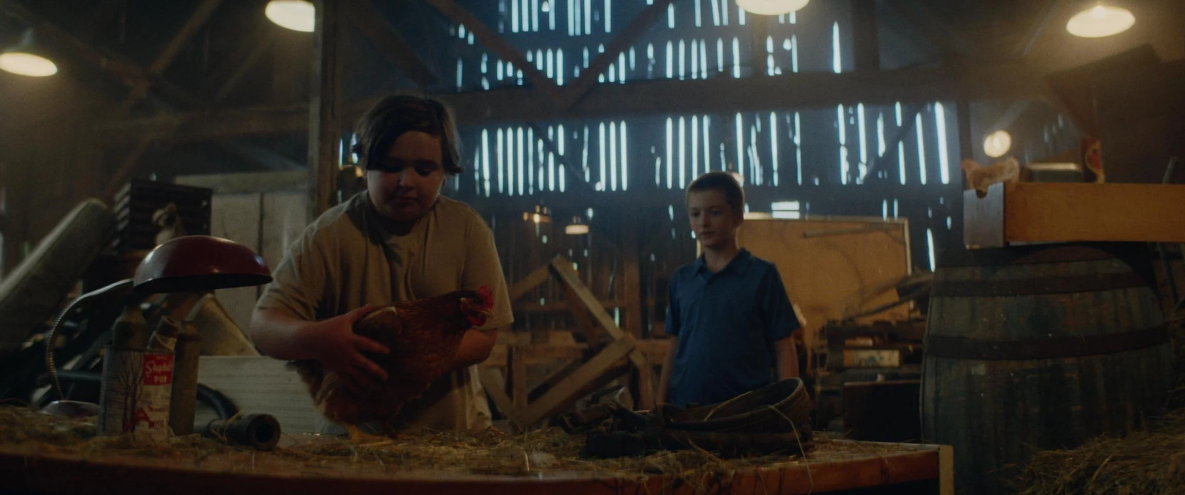 Two boys in a rustic barn with one holding a chicken and the other observing, surrounded by old furniture and farm supplies.