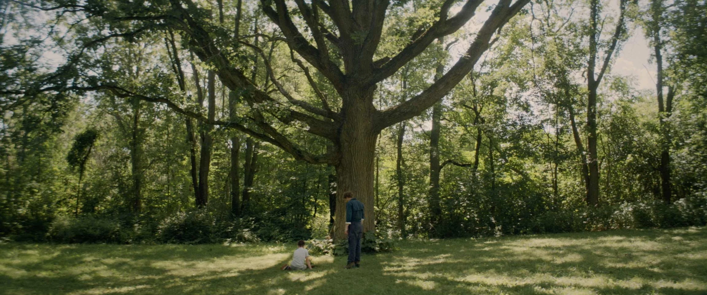 Two children and an adult standing and sitting near the base of a large tree in a sunlit forest clearing.