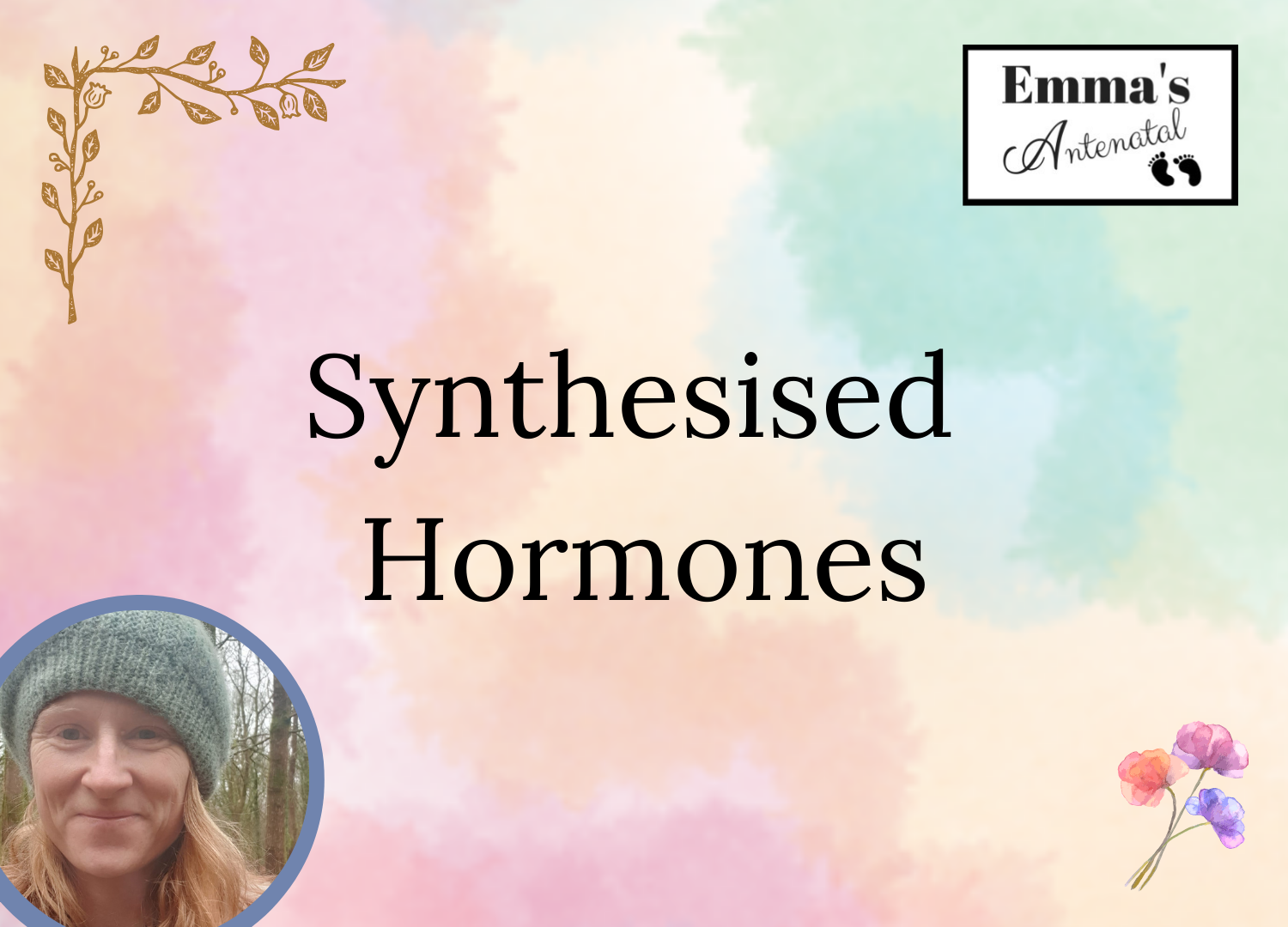 Synthesised Hormones