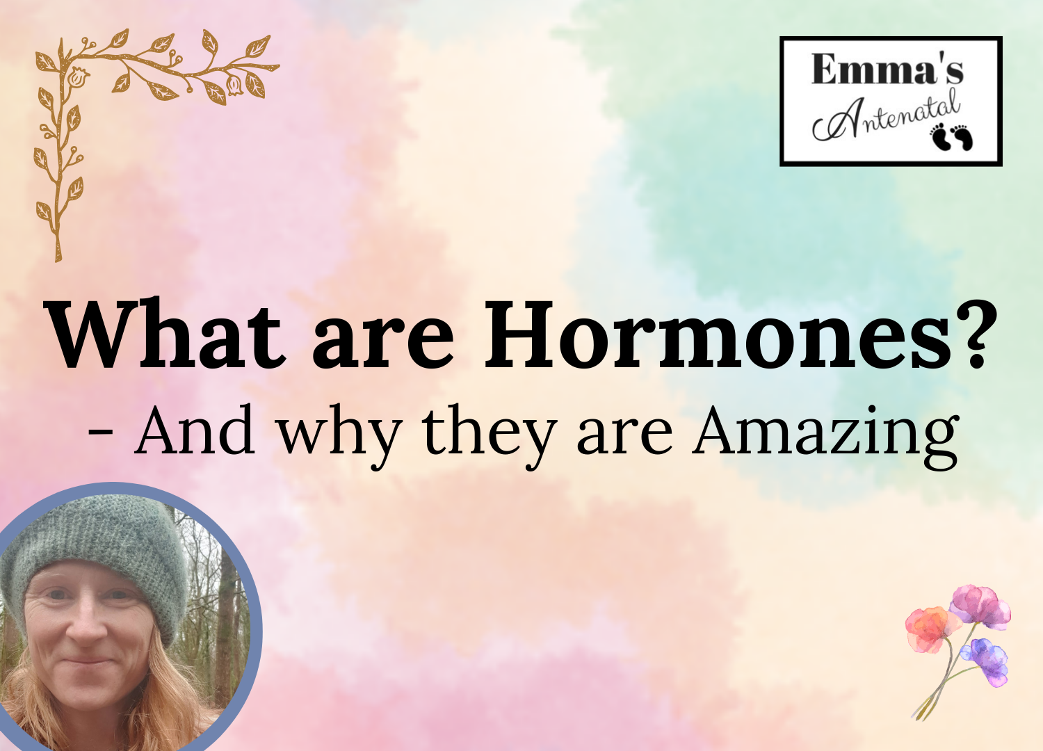 What Are Hormones &amp; How Do They Work?
