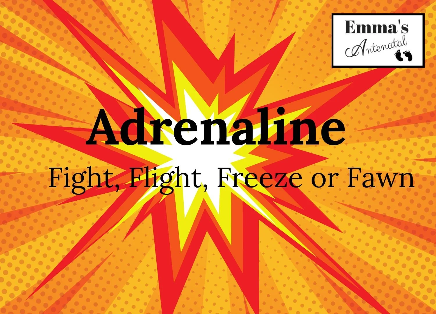 Adrenaline: Fight, Flight, Freeze or Fawn