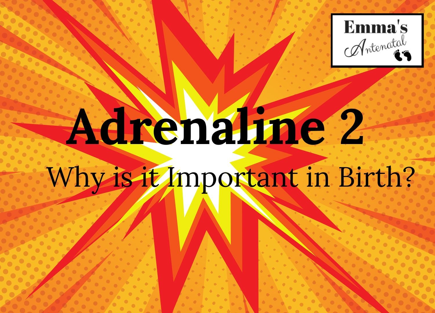 Adrenaline 2: Why is it Important in Birth?