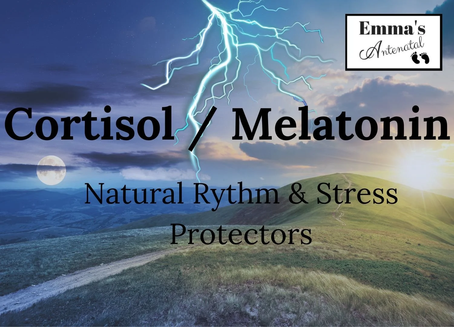Bonus Hormones: Cortisol &amp; Melatonin – Your Natural Rhythm &amp; Stress Protectors