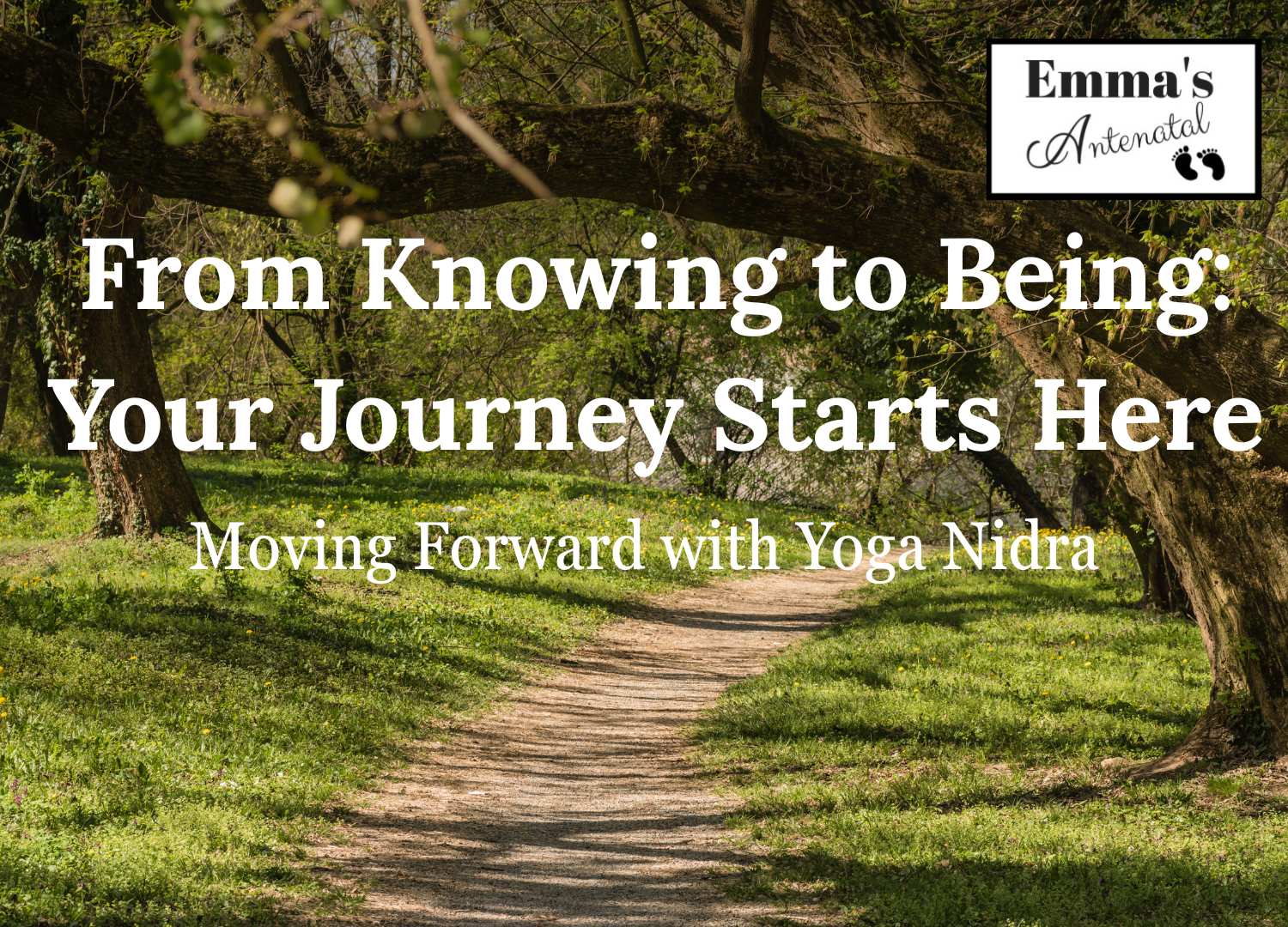 From Knowing to Being: Your Journey Starts Here