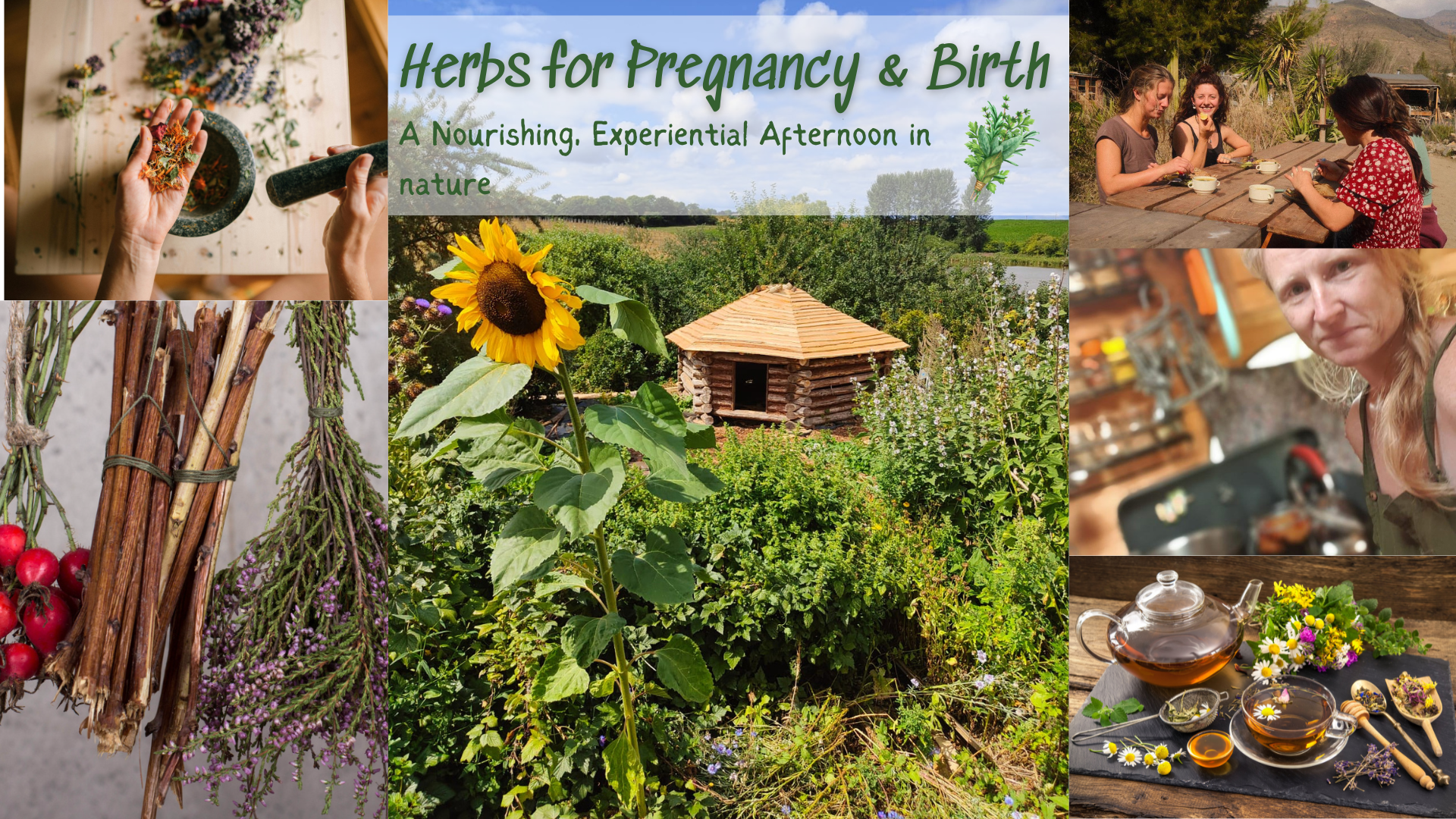 Herbs for Pregnancy & Birth