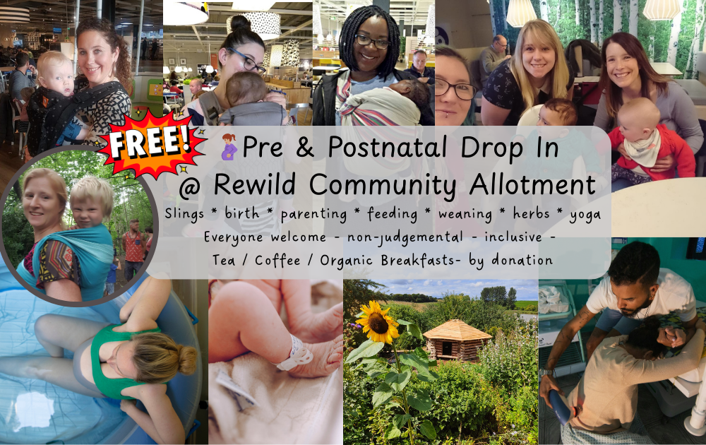 🌿 Free Pre &amp; Postnatal Drop-In – Rewild Forest Garden Allotment Tuesdays 10am–12pm 