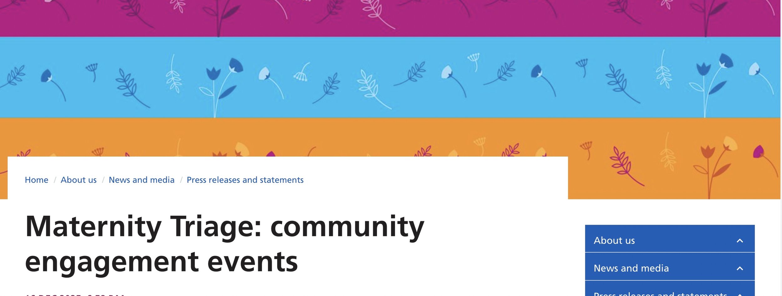 Reflections on the Maternity Triage Event