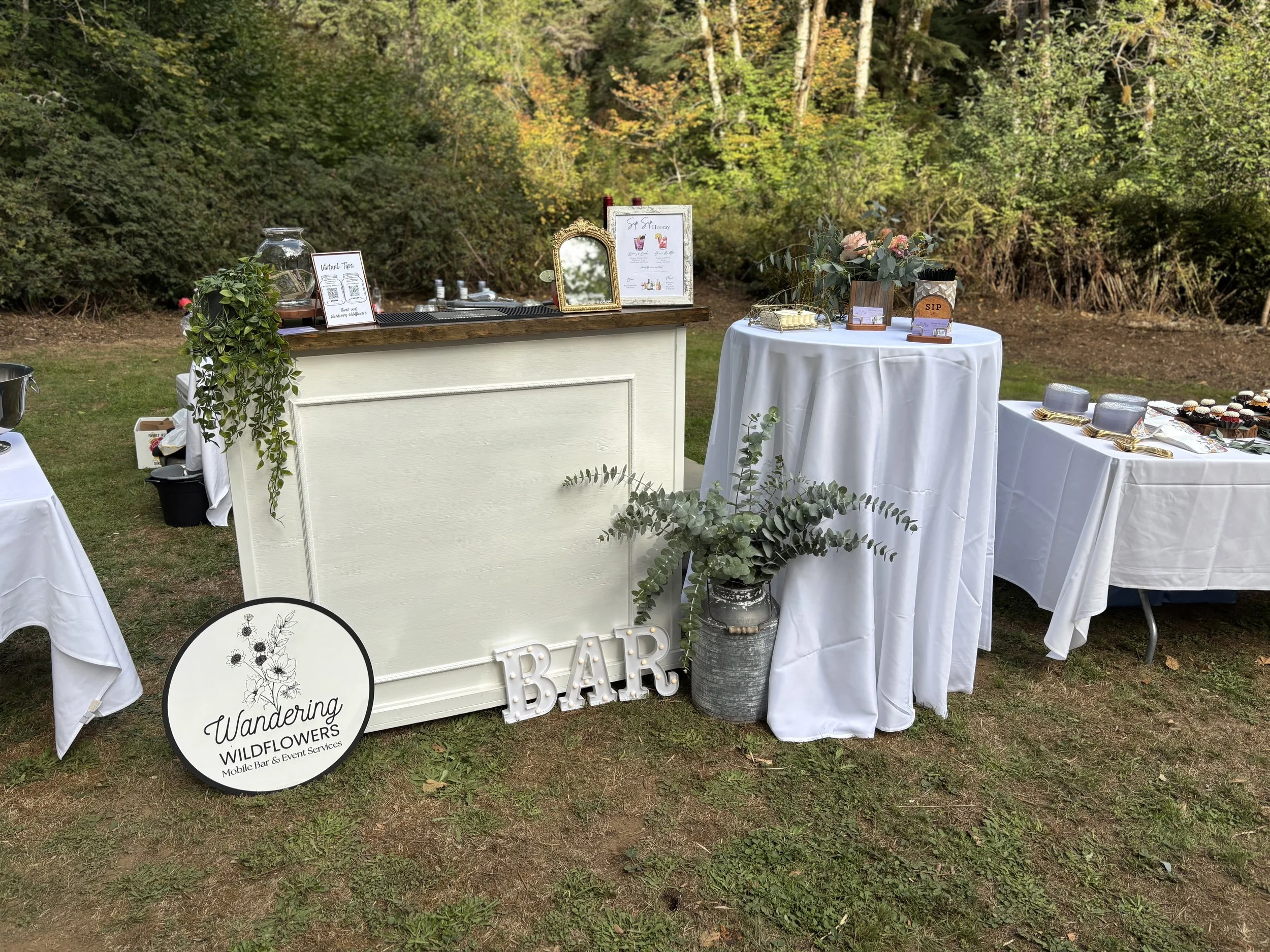 Silver falls white bar set up.jpg