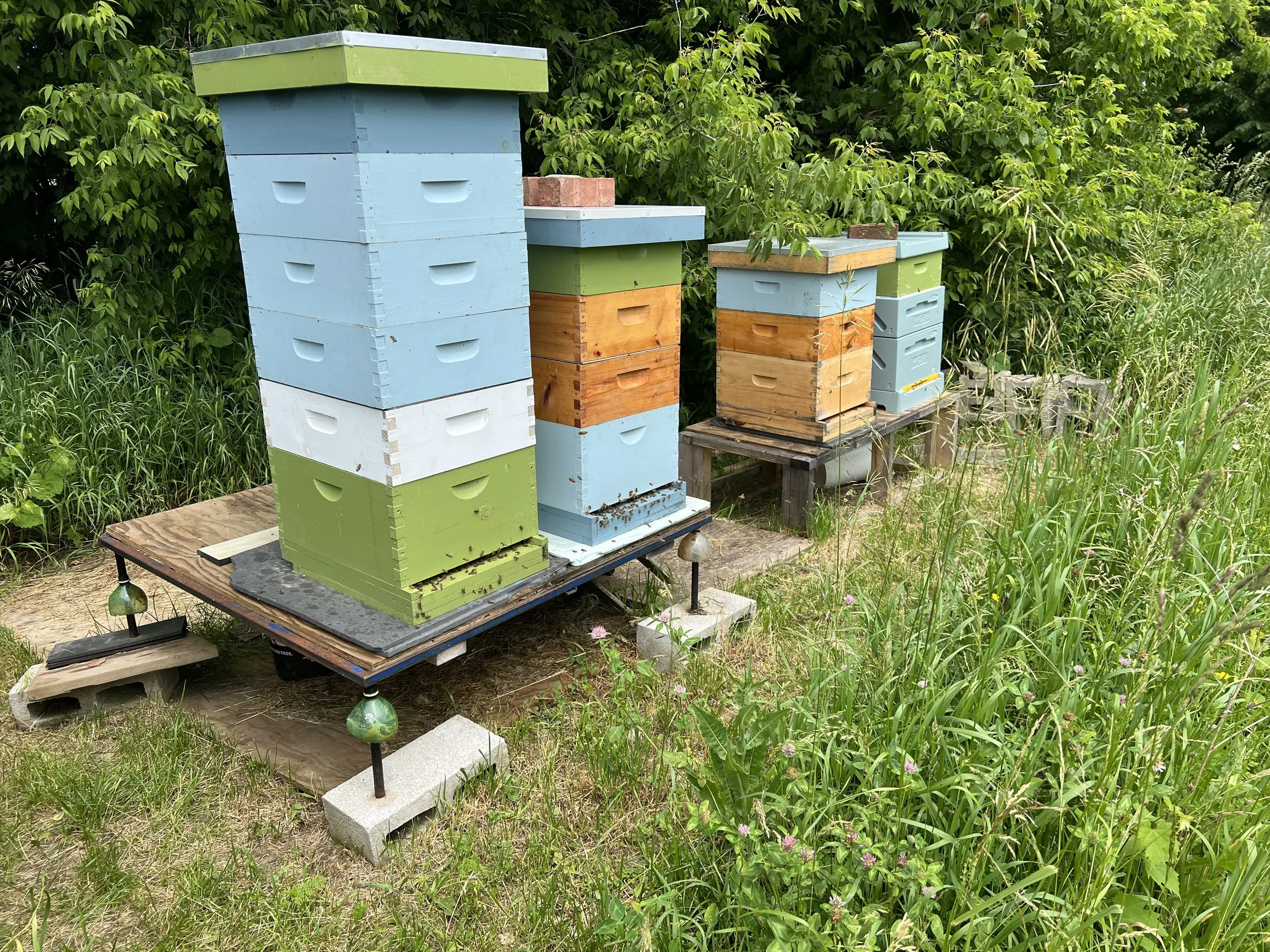 Beehives