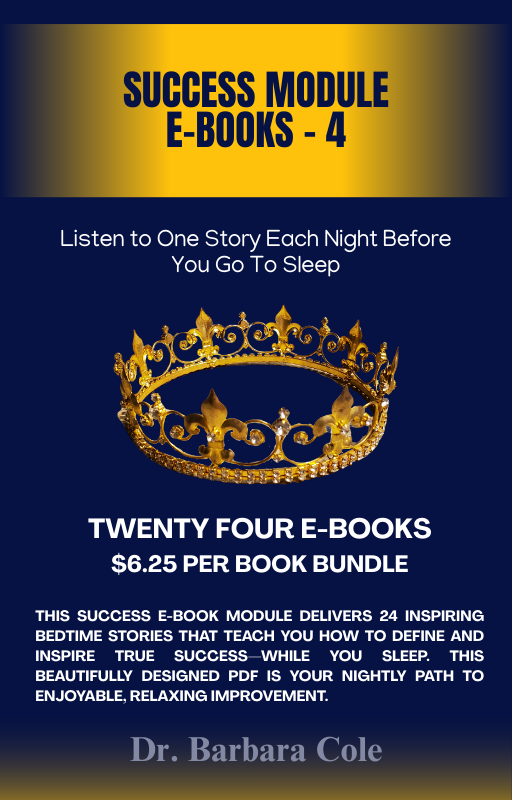 24 E-Book Bundle - SUCCESS