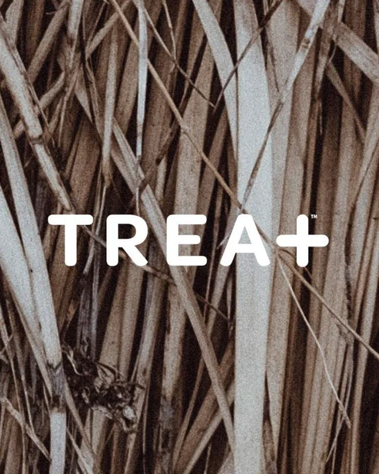 DWS Co developed the interior design for Treat at JFK, but the naming and branding was also developed by our Brand Studio ECD Kelsey Hanson. Full case study at link in bio.

#brandstrategy #naming #logo #design #concept #wellness #travel #treat