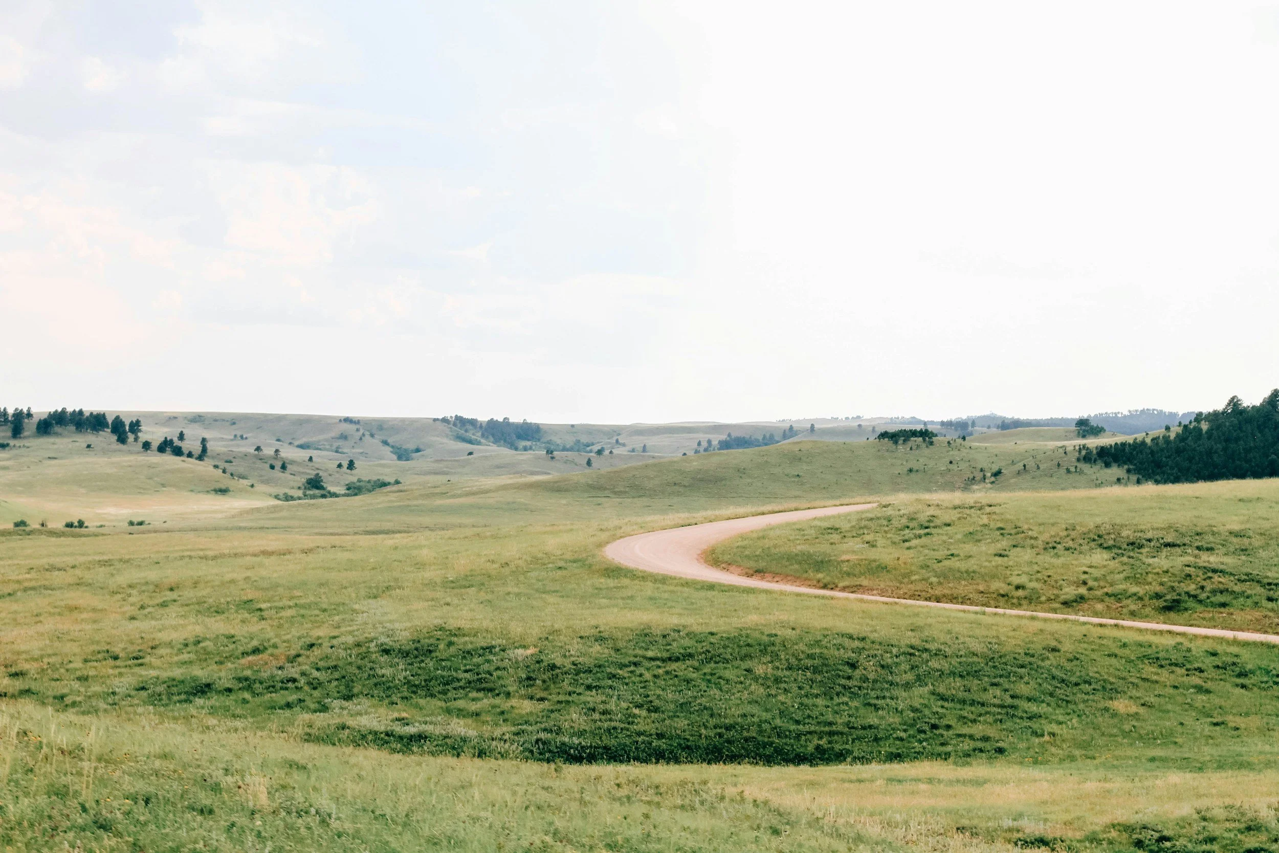 winding pathway in the fields
