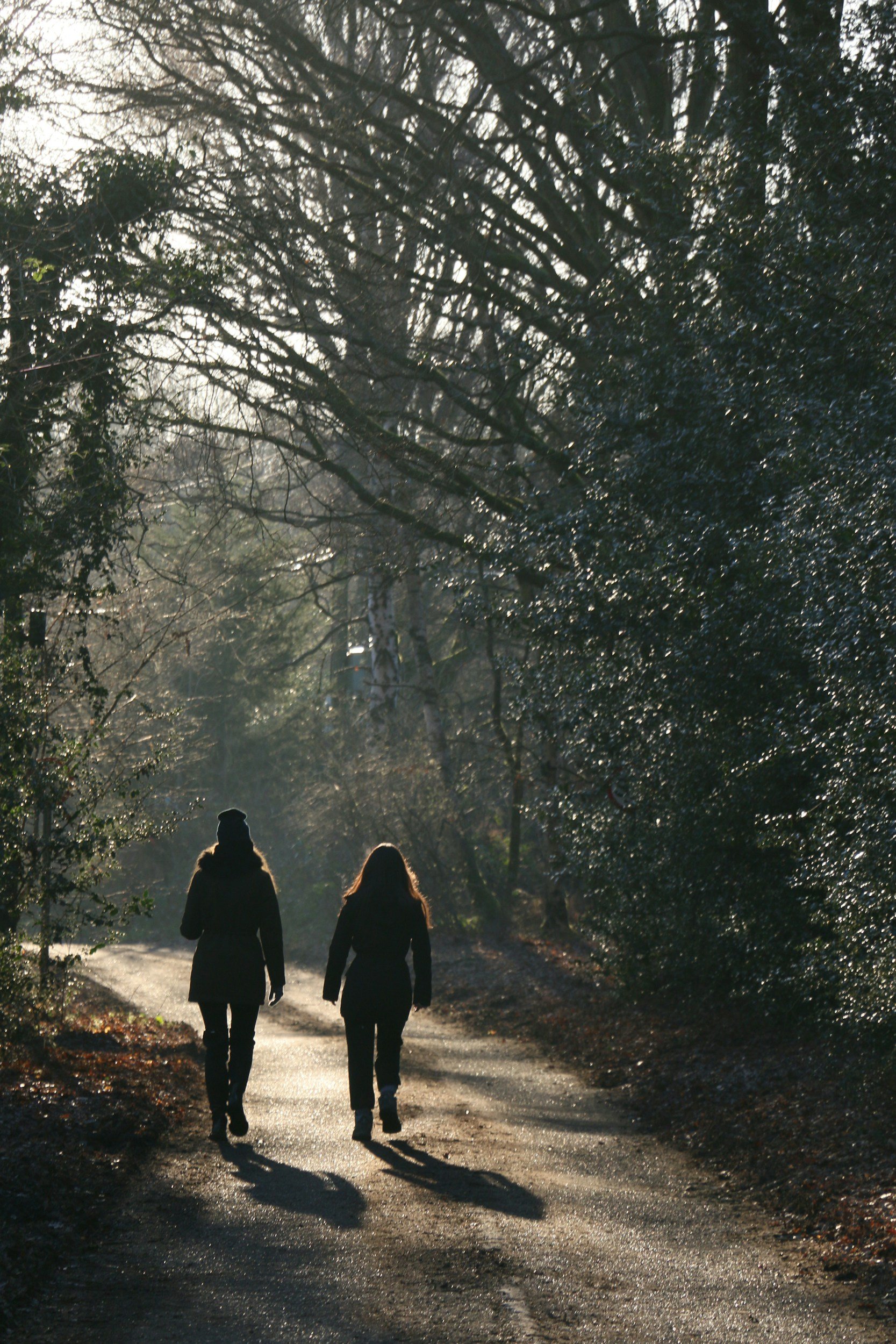 two people walking in nature during sunset