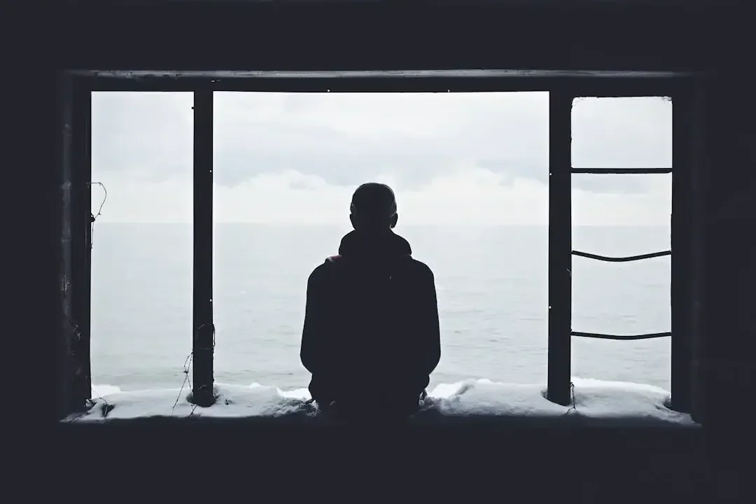 silhouette of a person looking outside