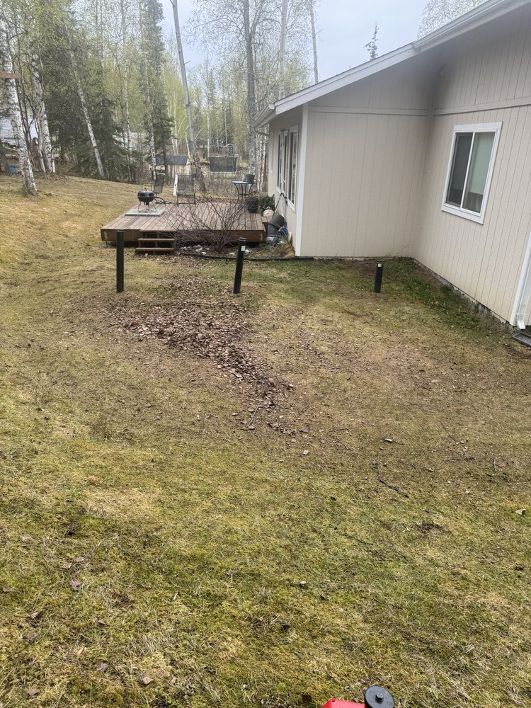 Yard before leaf cleanup